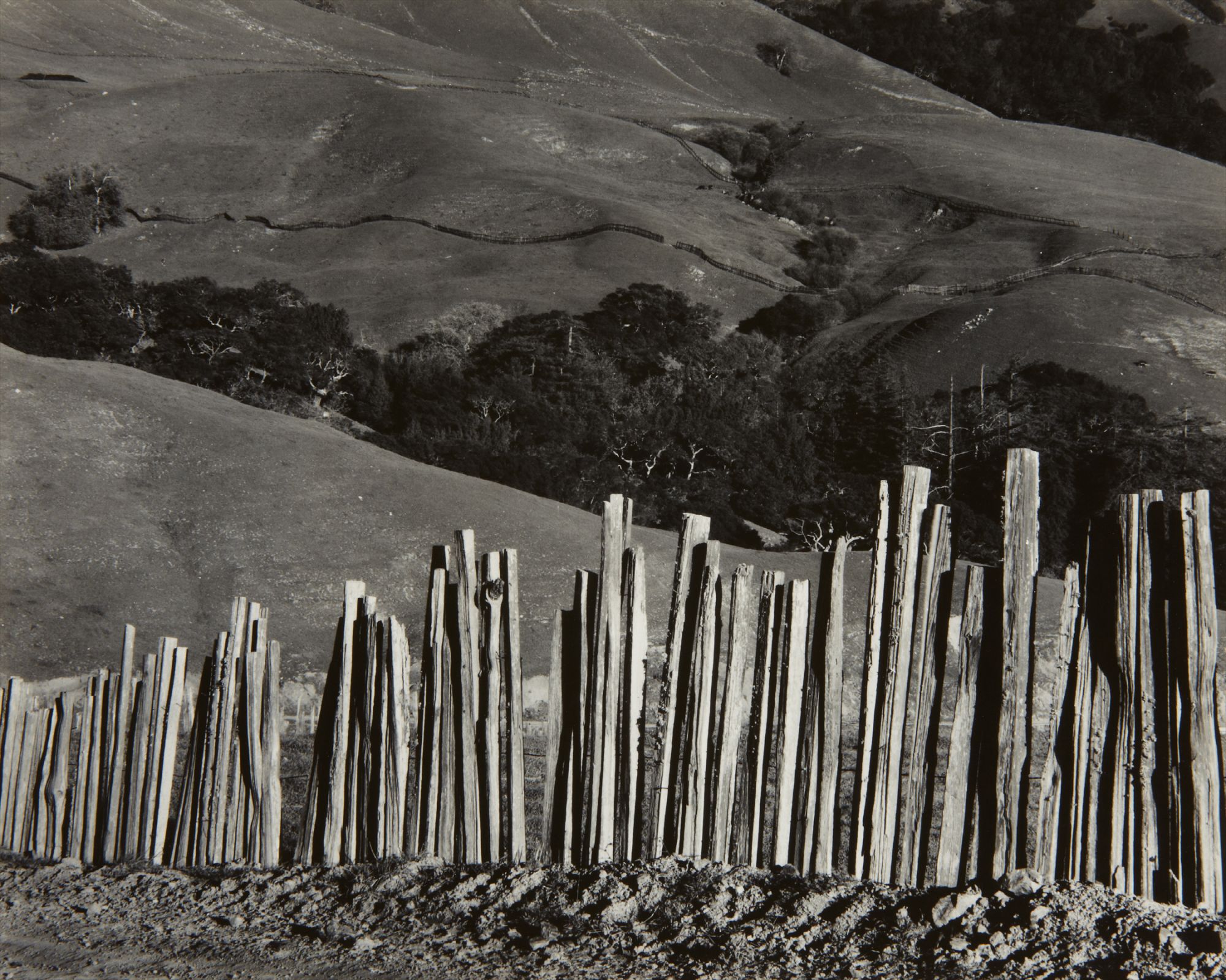Edward Weston — Fence, Old Road, Big Sur
