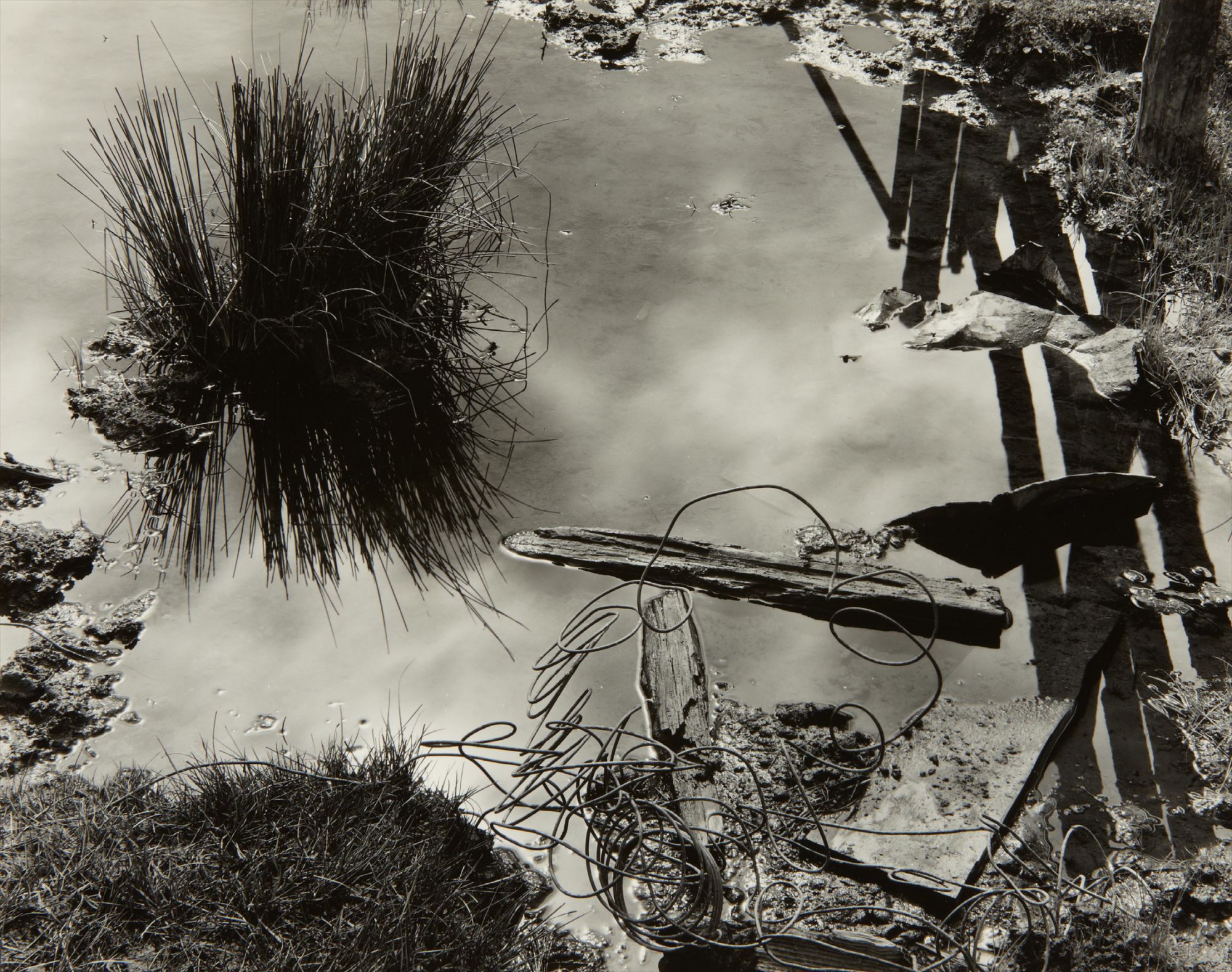 Pond, Meyer's Ranch, Yosemite