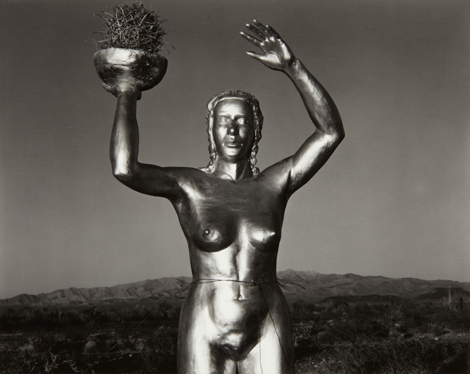 Edward Weston — Arizona Nymph