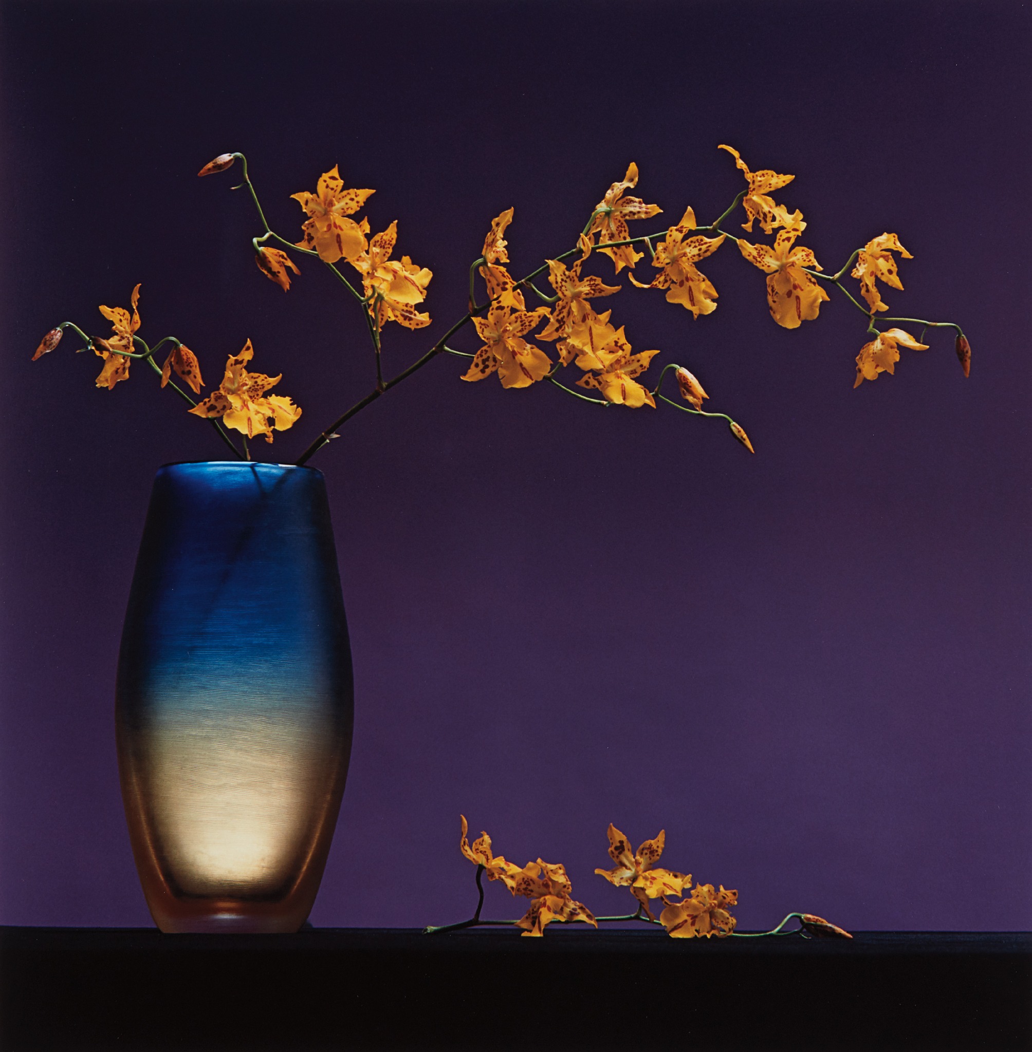 Robert Mapplethorpe — Flowers in Vase