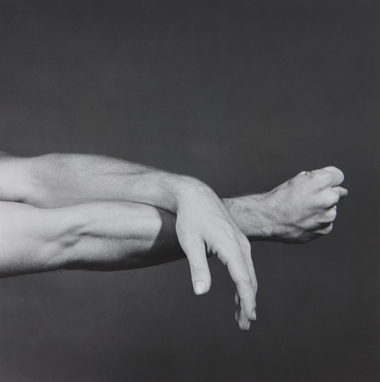Robert Mapplethorpe — NYC Contemporary Ballet