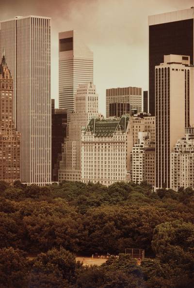 Plaza and Baseball in Central Park