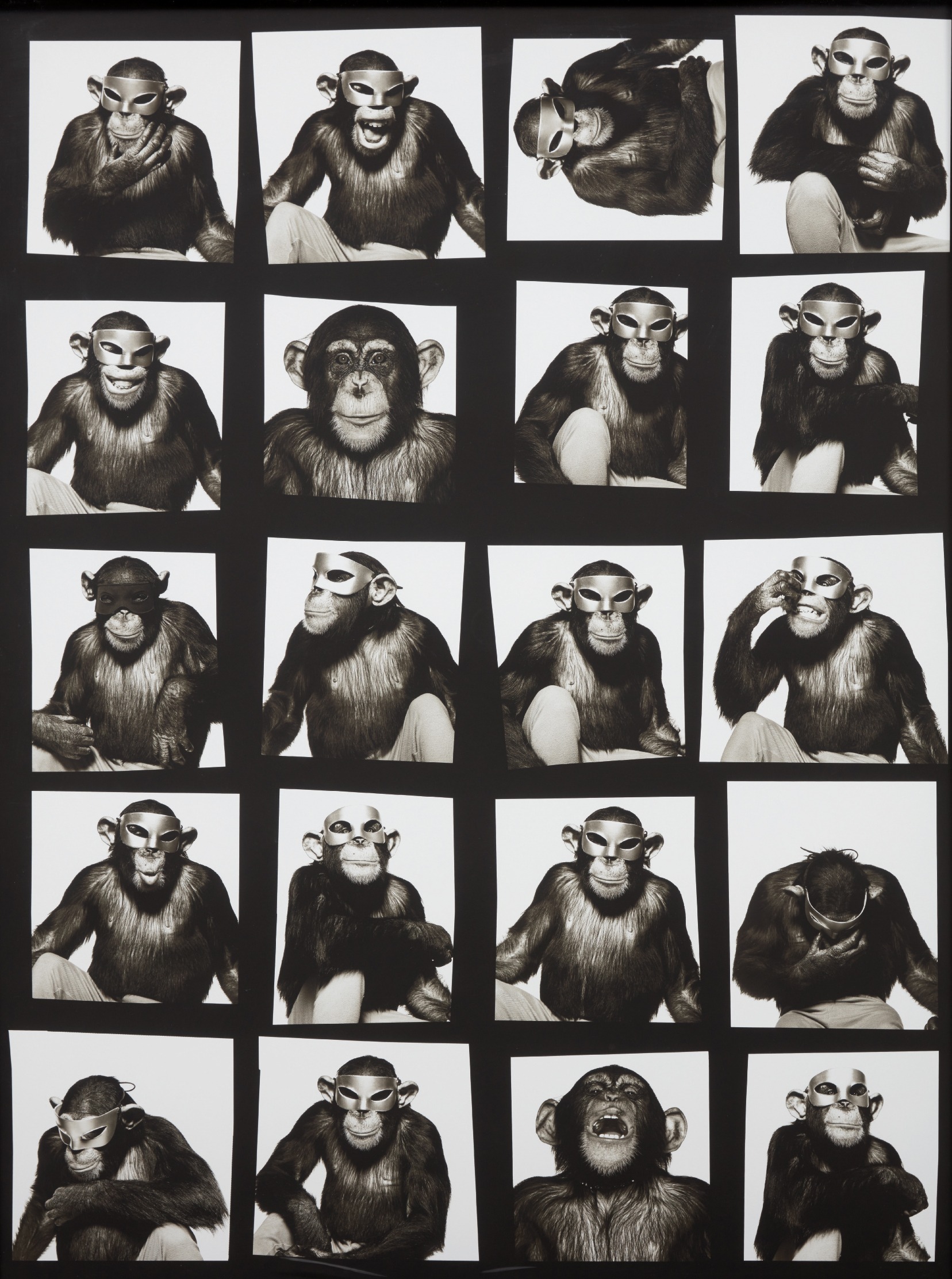 Monkey with Masks, New York City