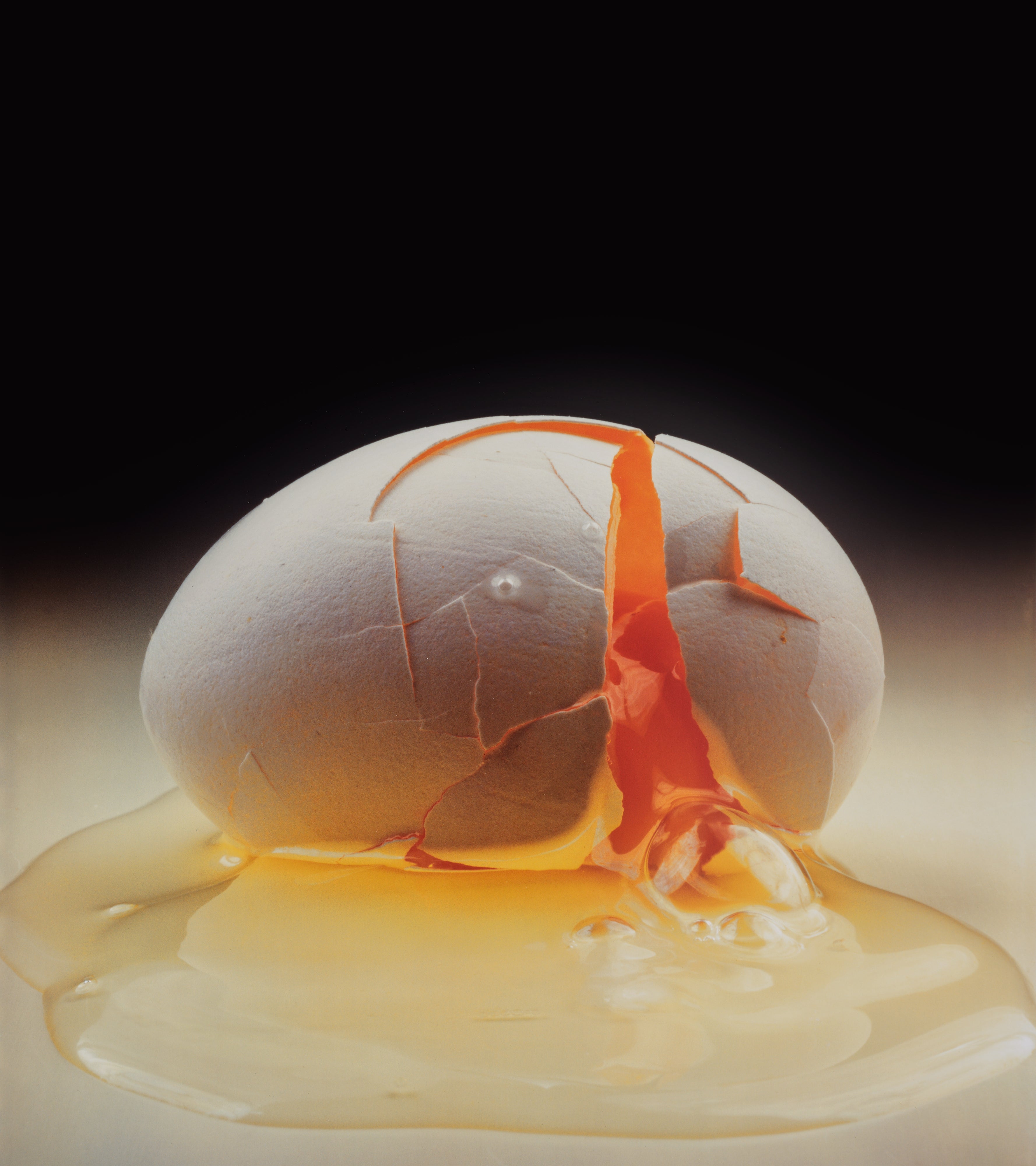 Irving Penn — Cracked Egg, New York
