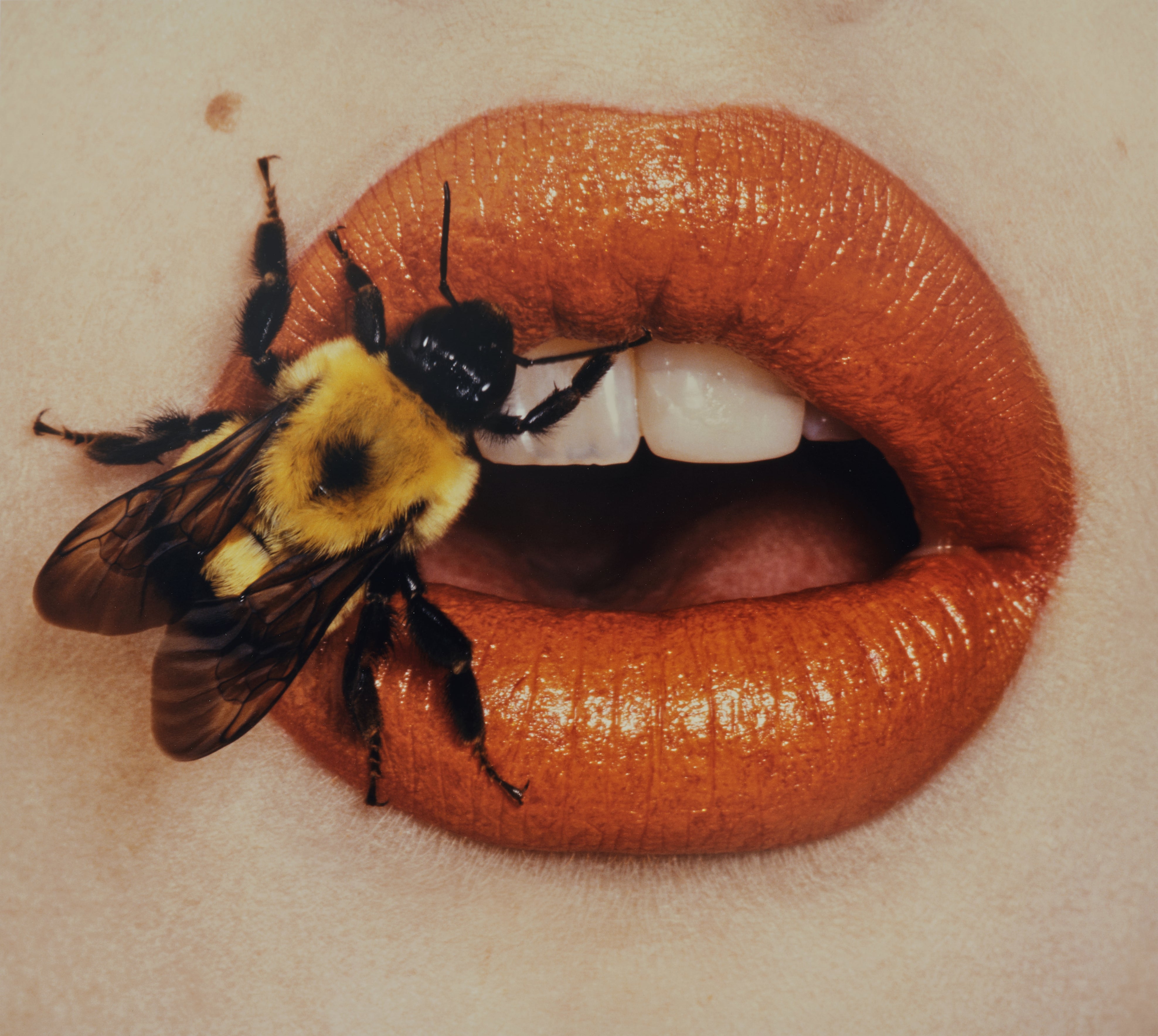 Irving Penn — Bee (A), New York