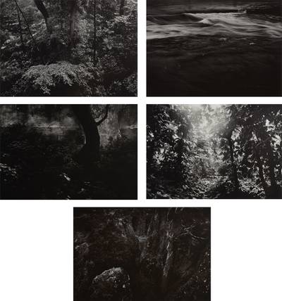 Five Selected Images