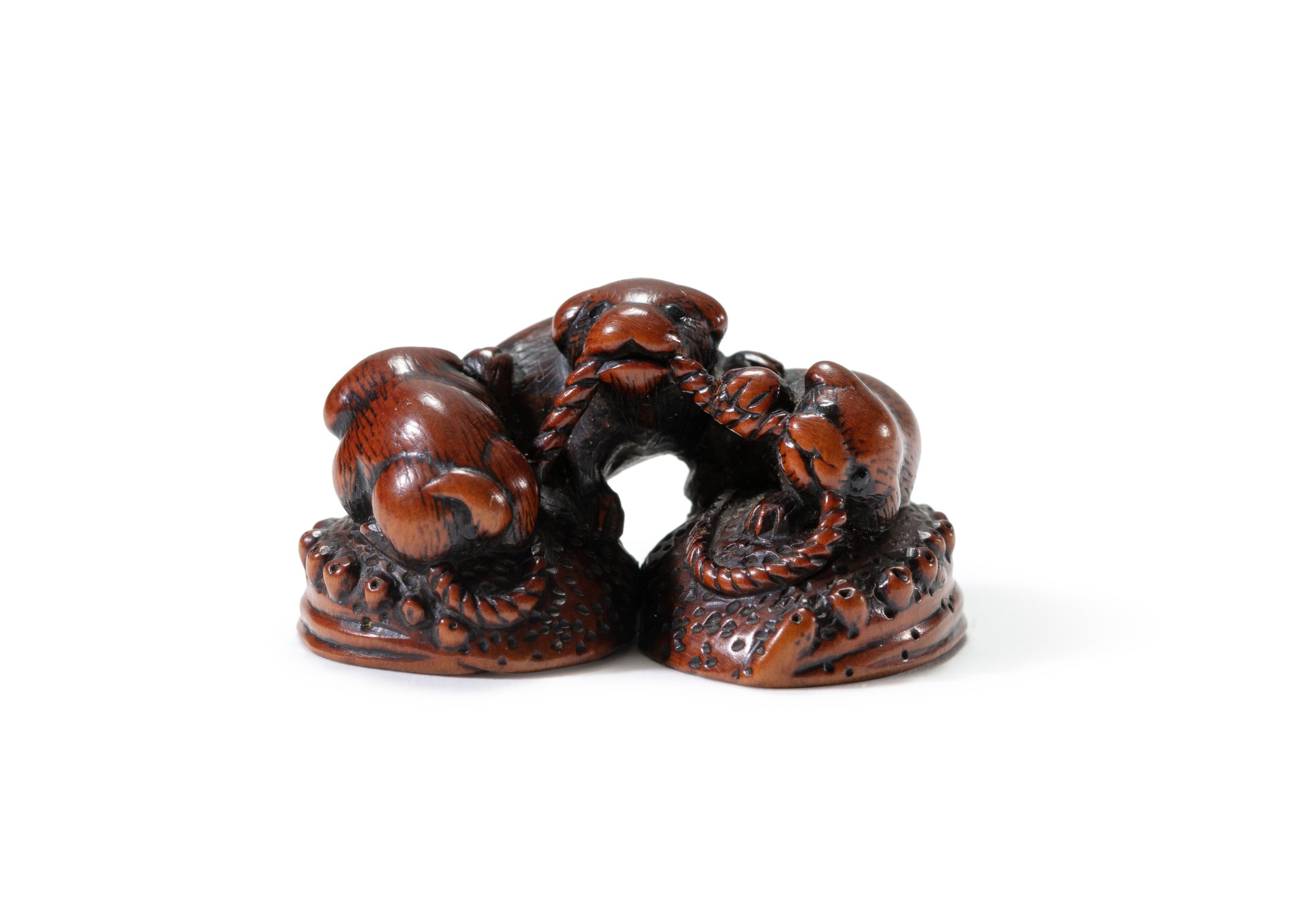 A carved wood study of three puppies playing on abalones — 日本 十九世紀早期 木雕三犬根付