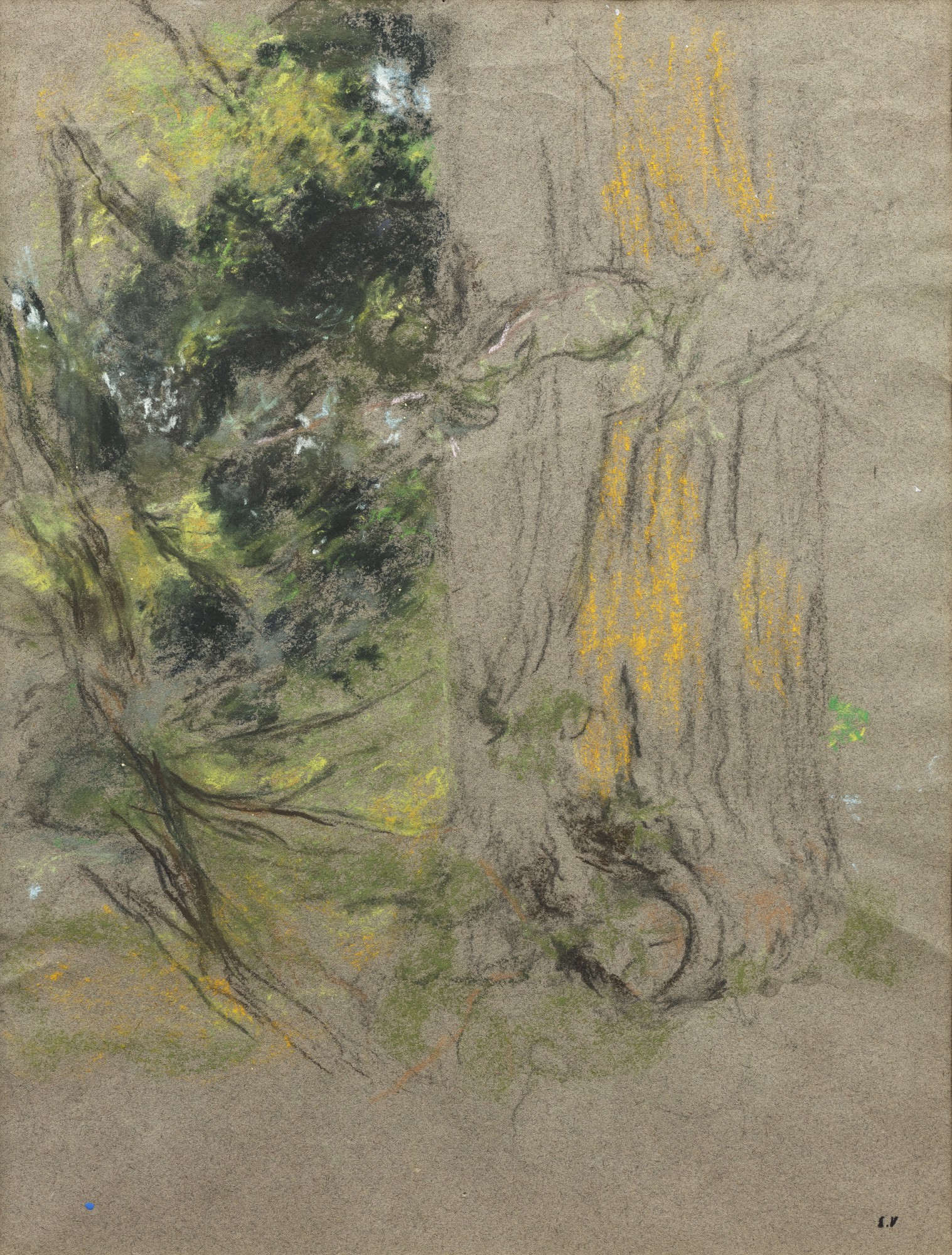 Edouard Vuillard — Etude d'arbres