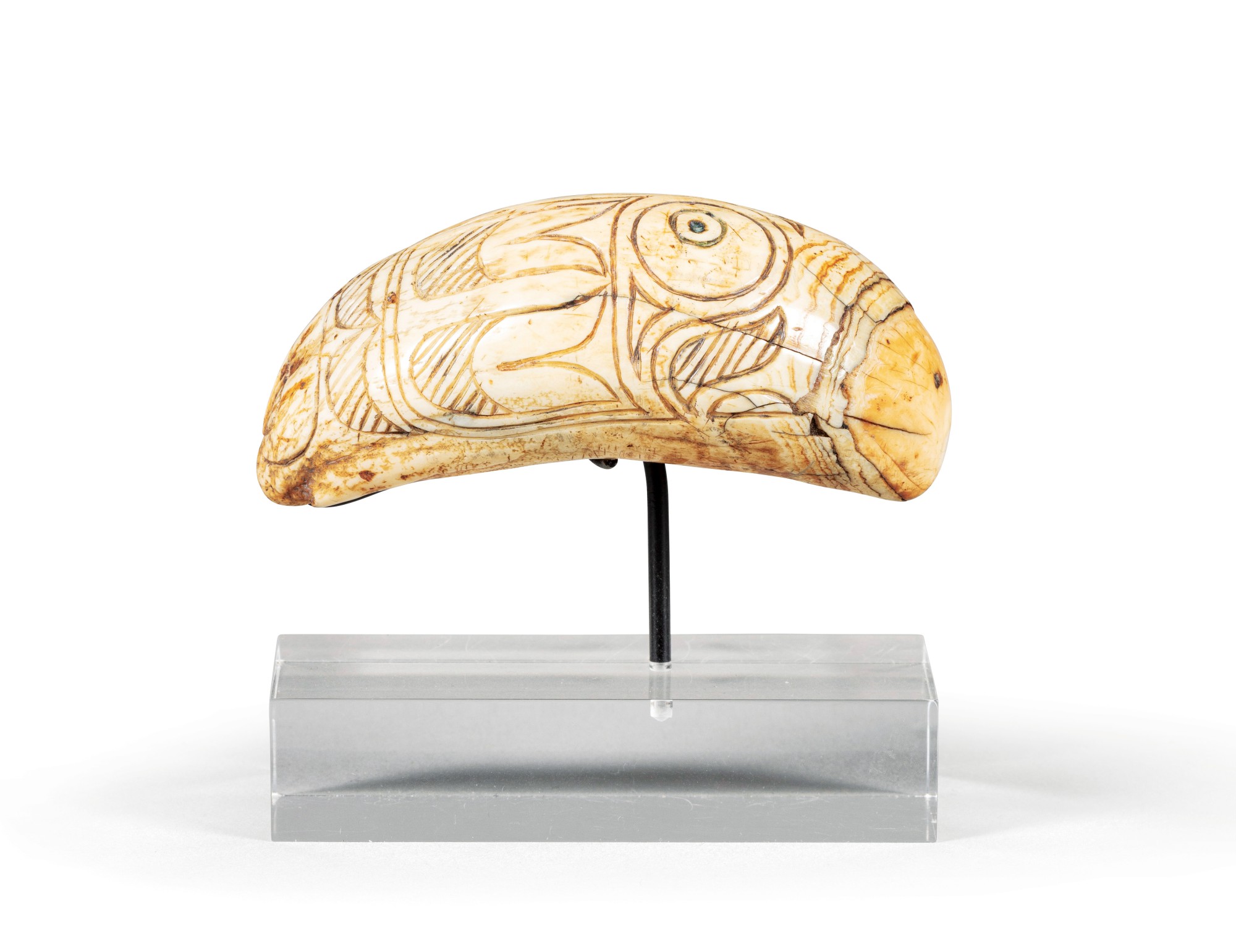 A Northwest Coast incised cachalot tooth — A Northwest Coast incised cachalot tooth