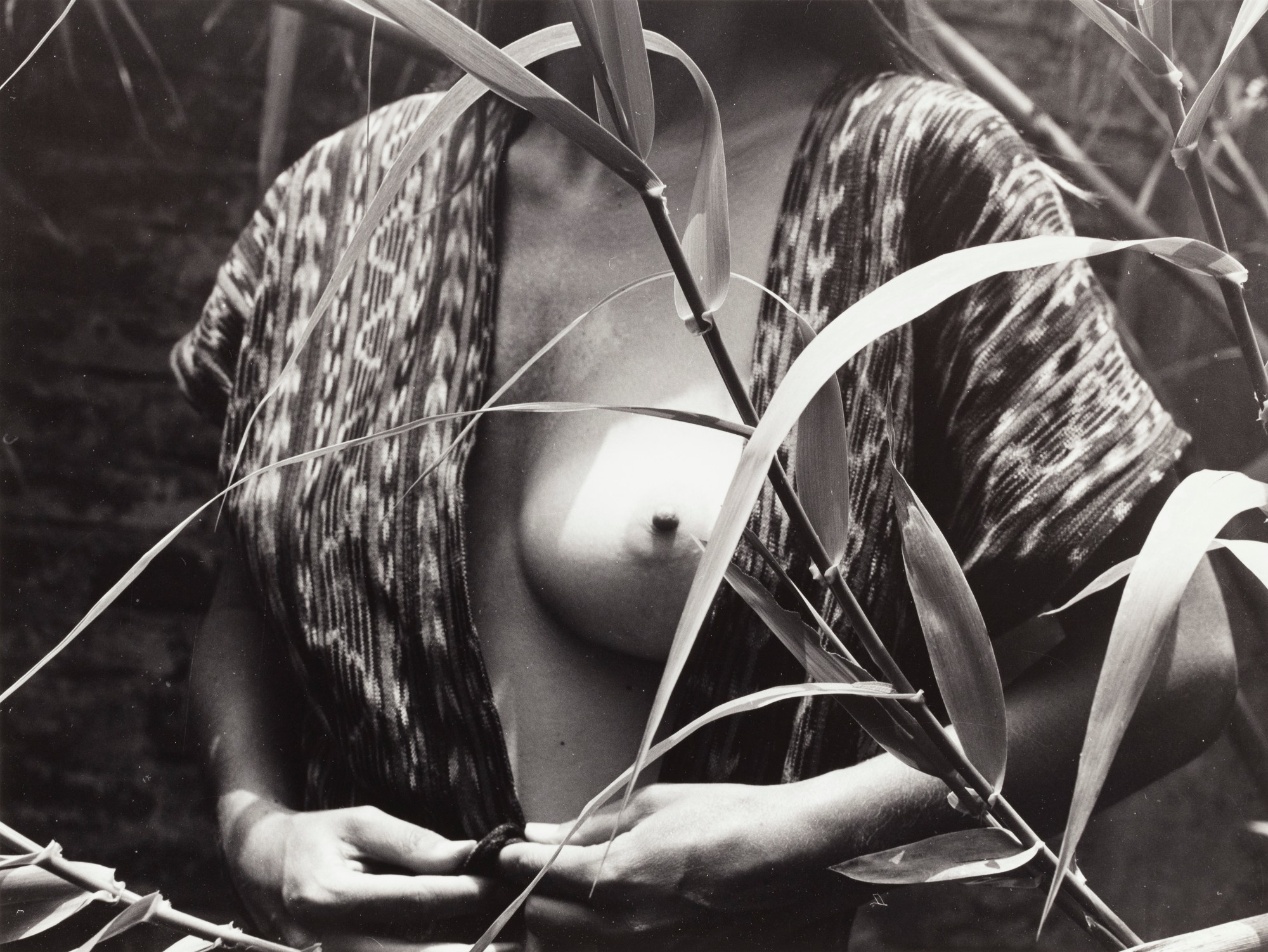 Manuel Álvarez Bravo — Fruta prohibido, 1976