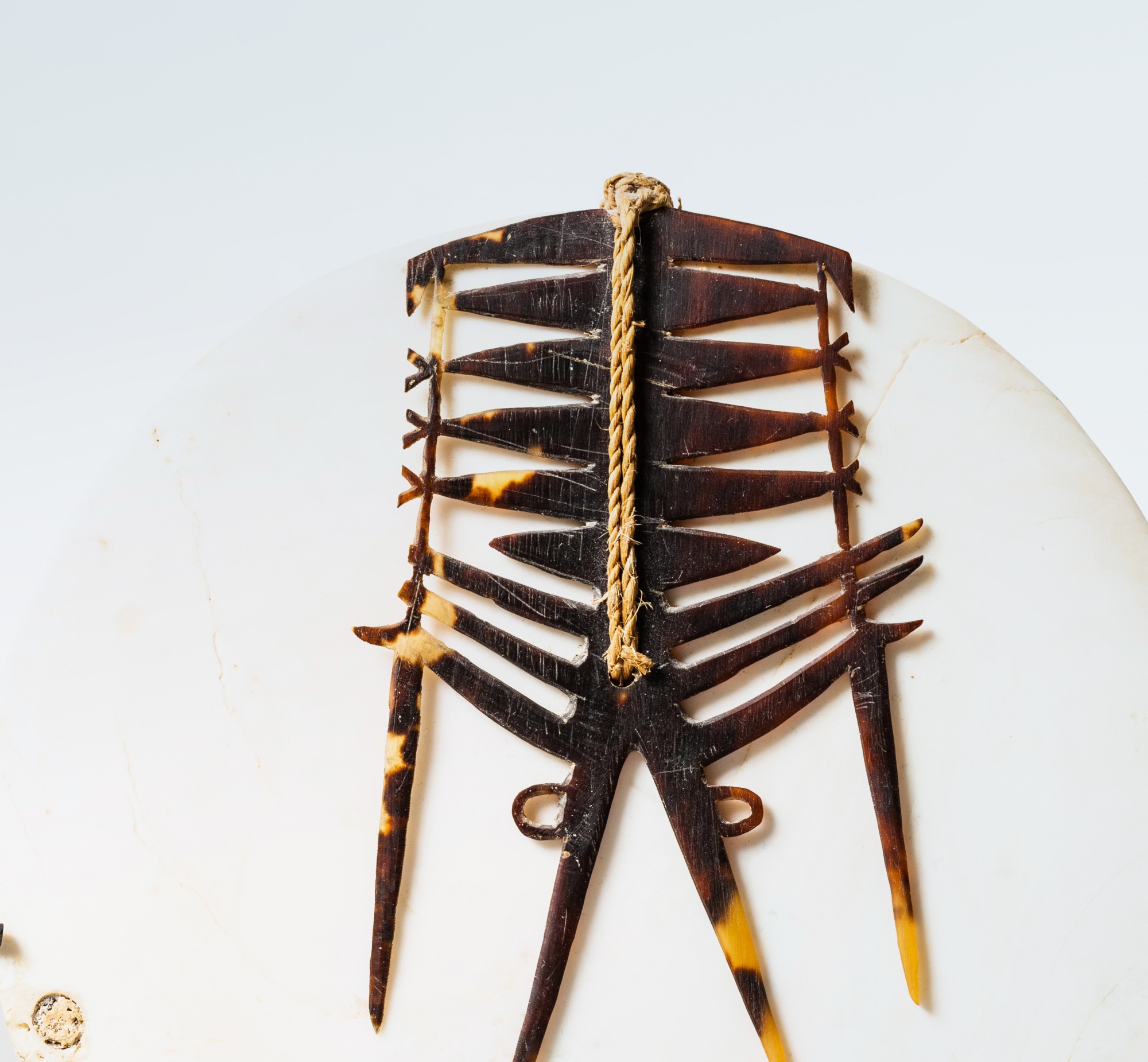 Pectoral tema, Île de Santa Cruz, Îles Salomon — Tema pendant, Santa Cruz Island, Salomon Islands