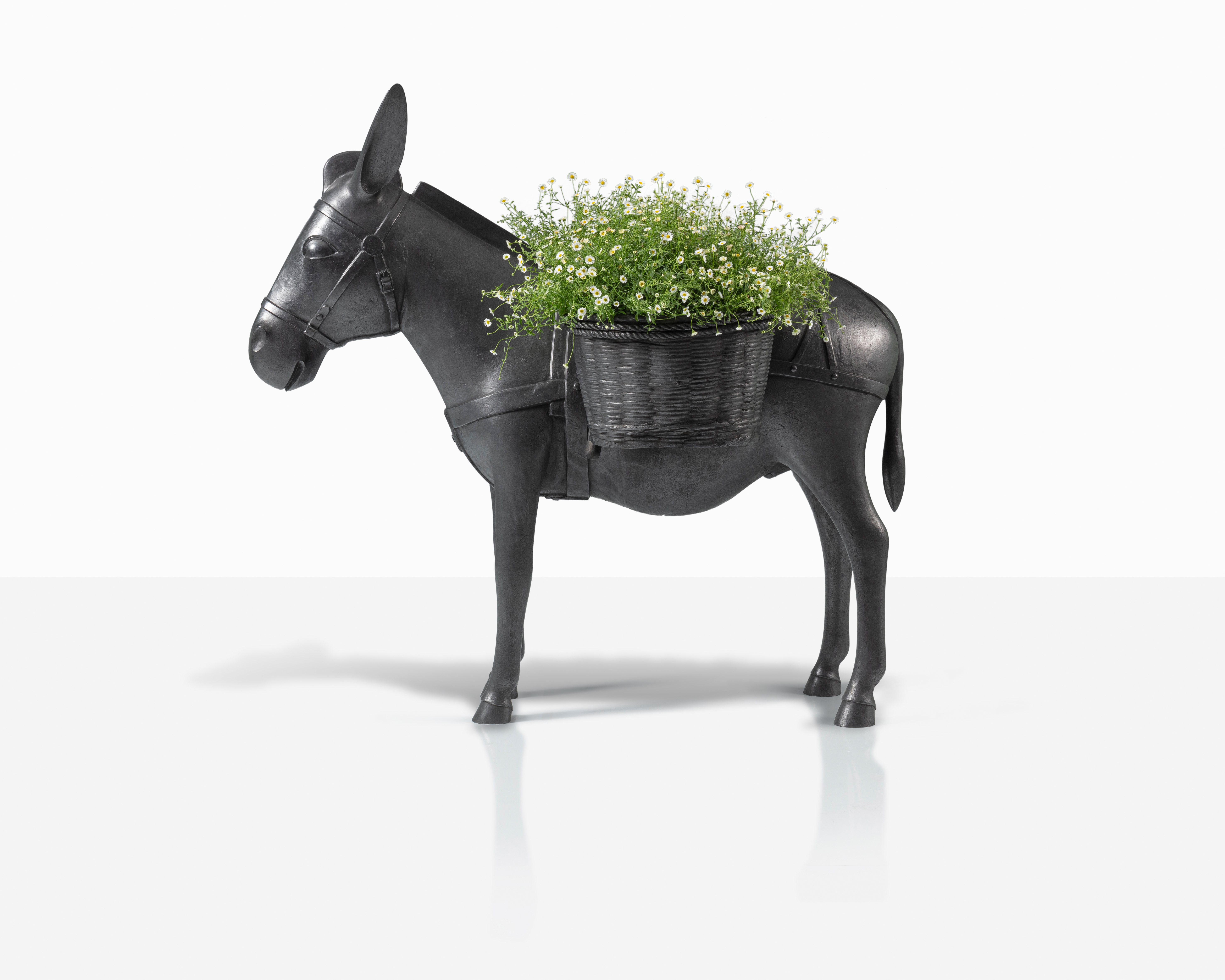 François-Xavier Lalanne — Âne Planté