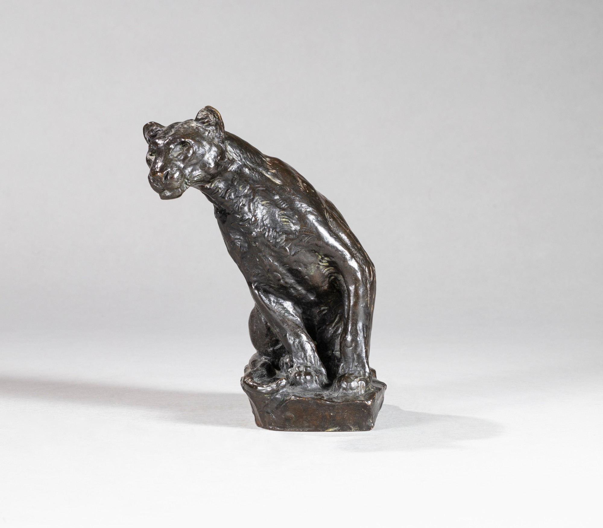 Roger Godchaux — Lionne tête penchée