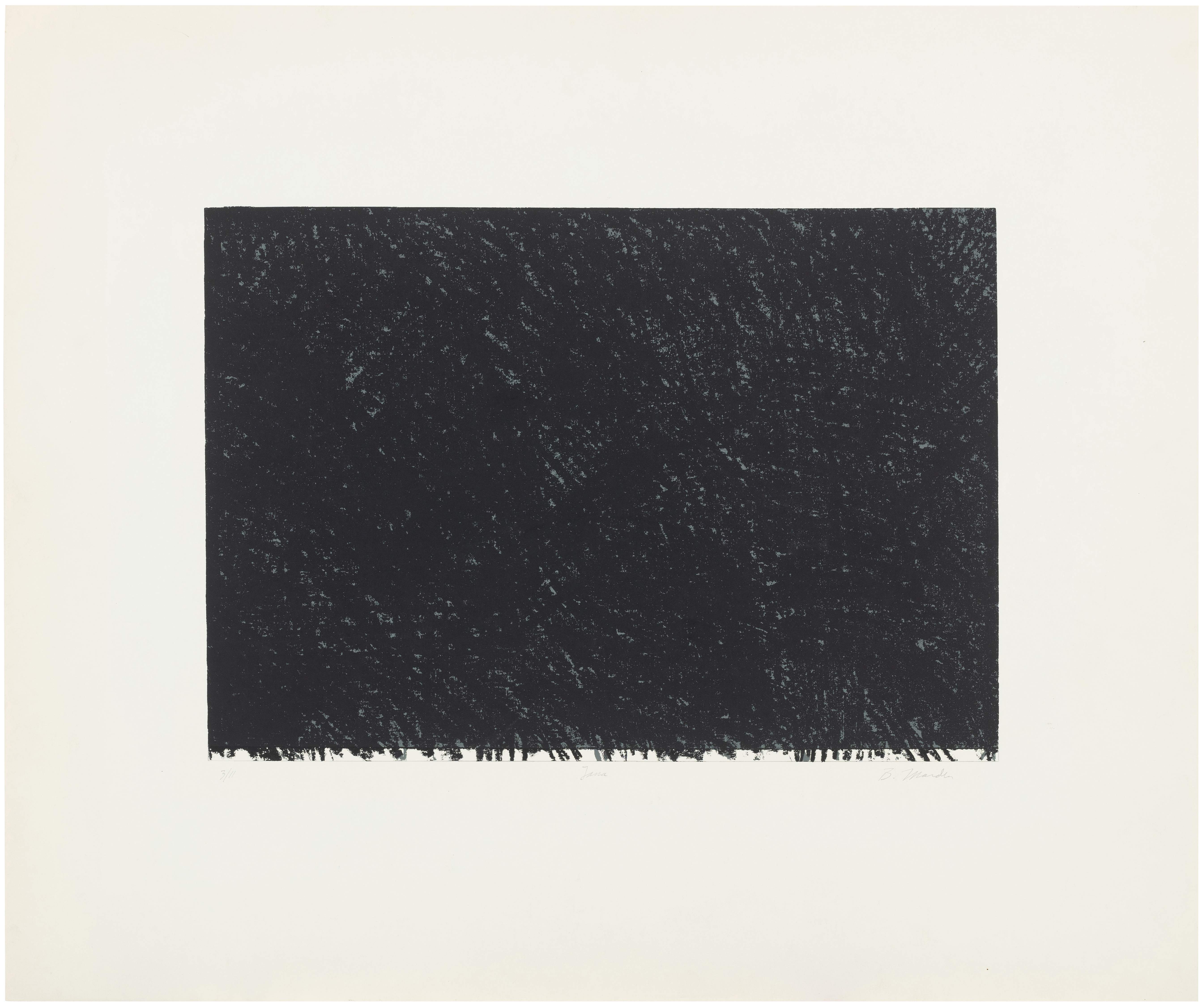Brice Marden — Lana