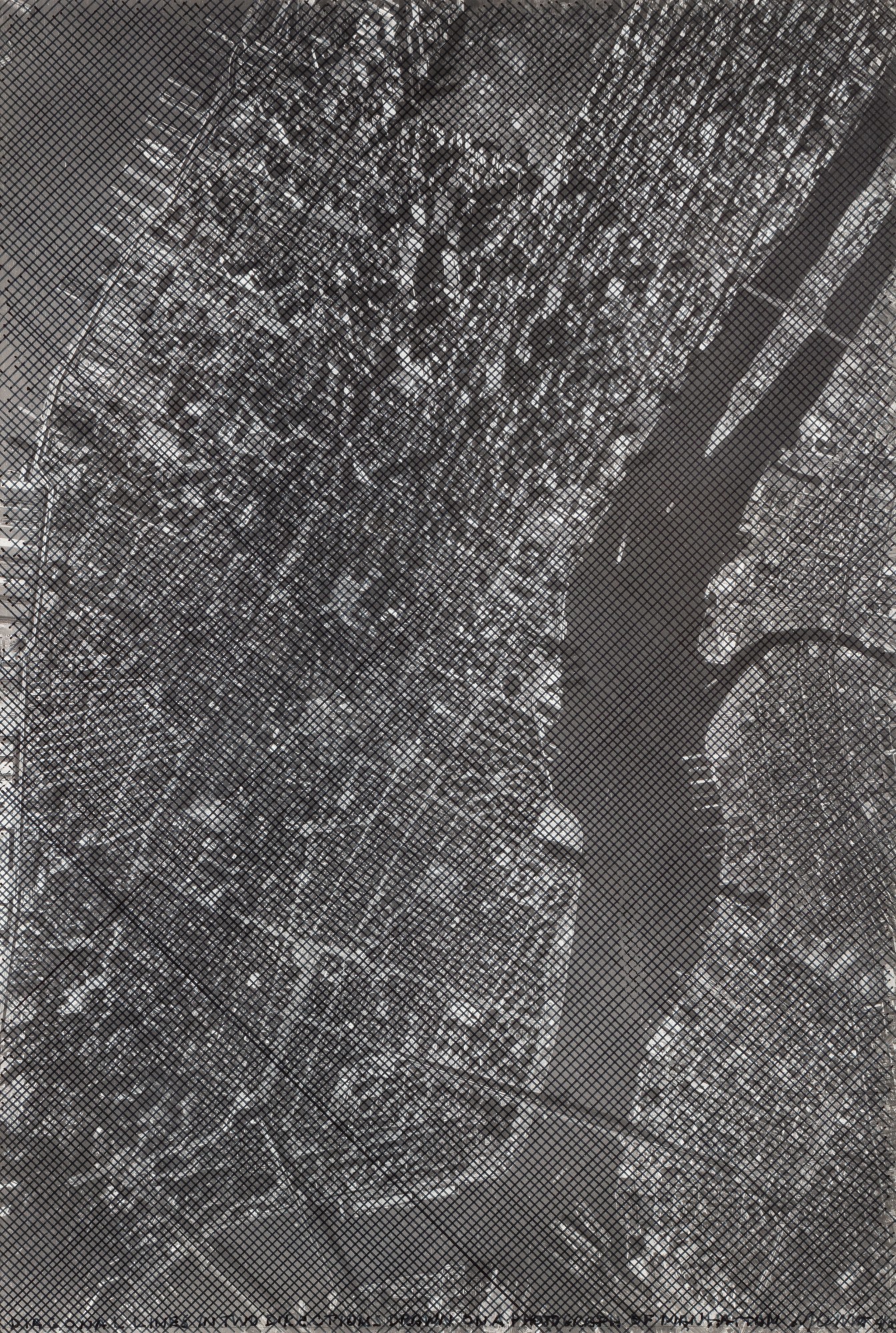 Sol LeWitt — Diagonal Lines in Two Directions drawn on a photograph of Manhattan
