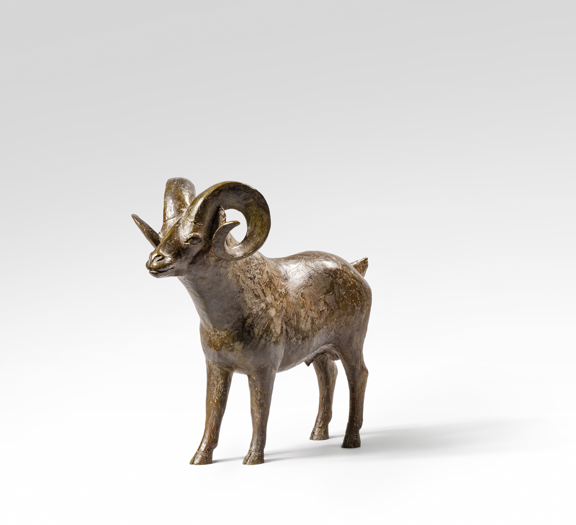 François-Xavier Lalanne — Mouflon