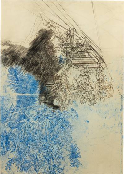 Végétation à la Besnadière