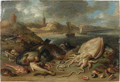 Paysage côtier avec phoques et calamars