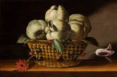 Attributed to Fede Galizia