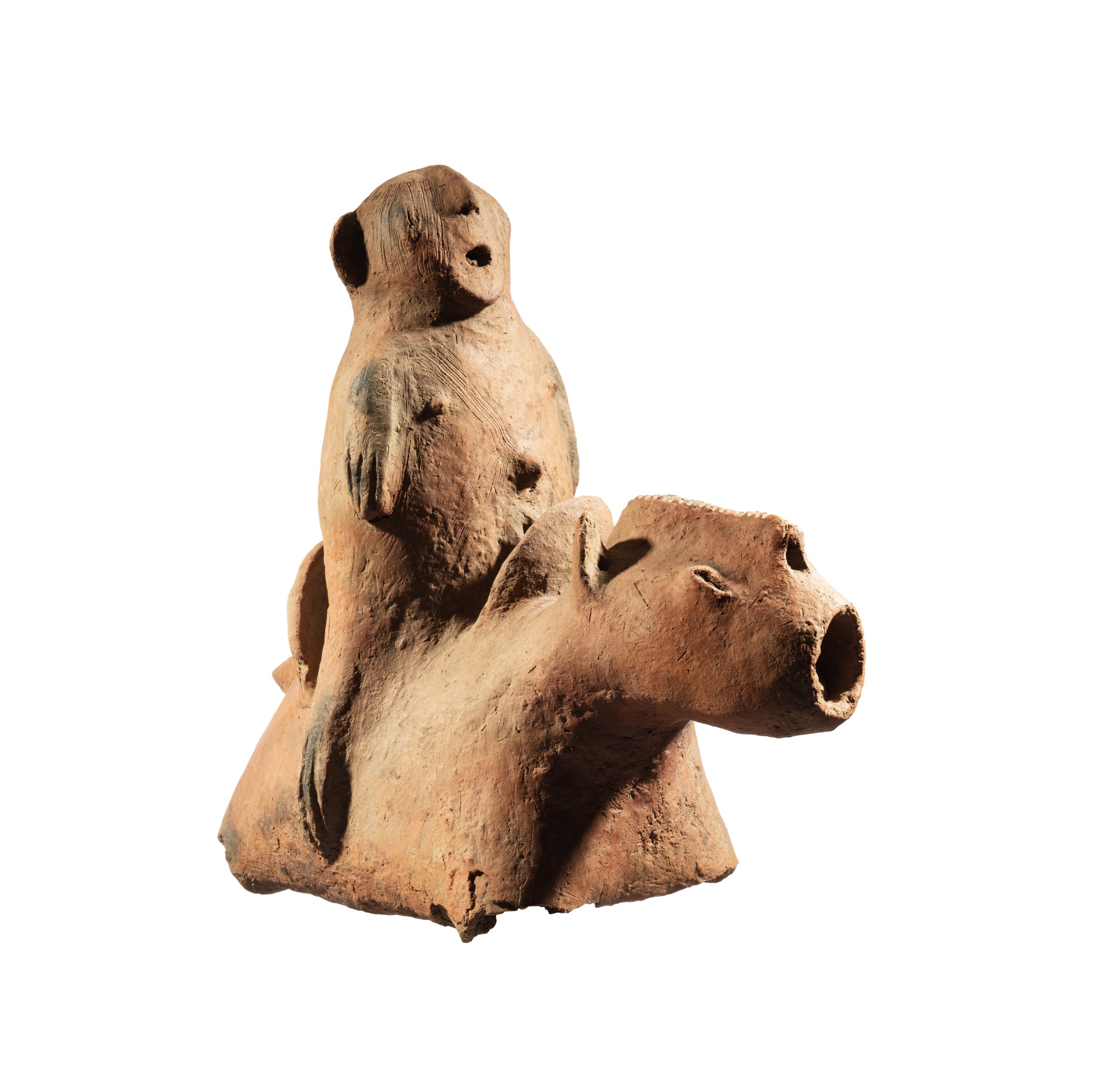 Cavalier, Dakakari, Nigéria — Cavalier, Dakakari, Nigéria