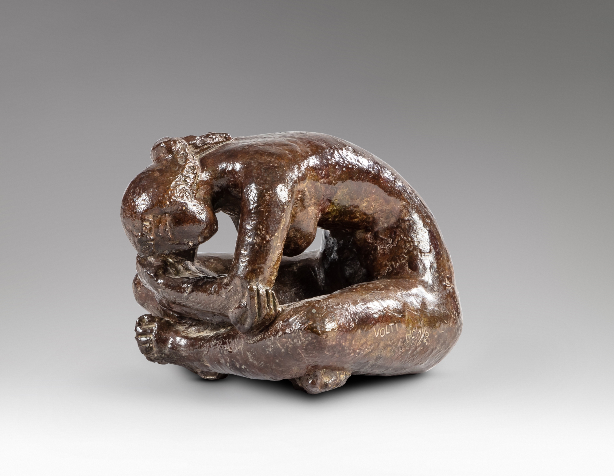 Antoniucci Volti — Flavia