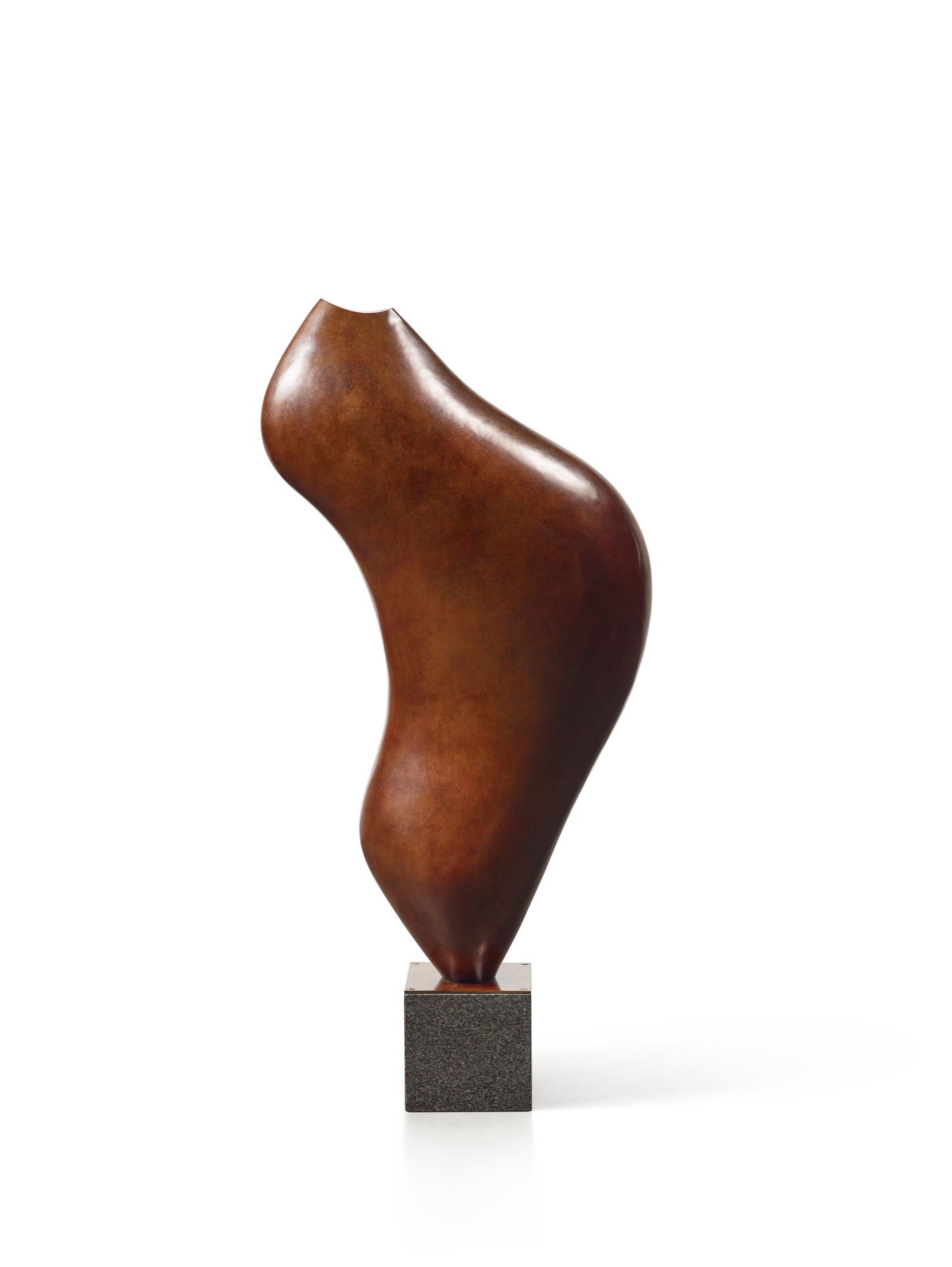 Der Schrei Abstrakte Form