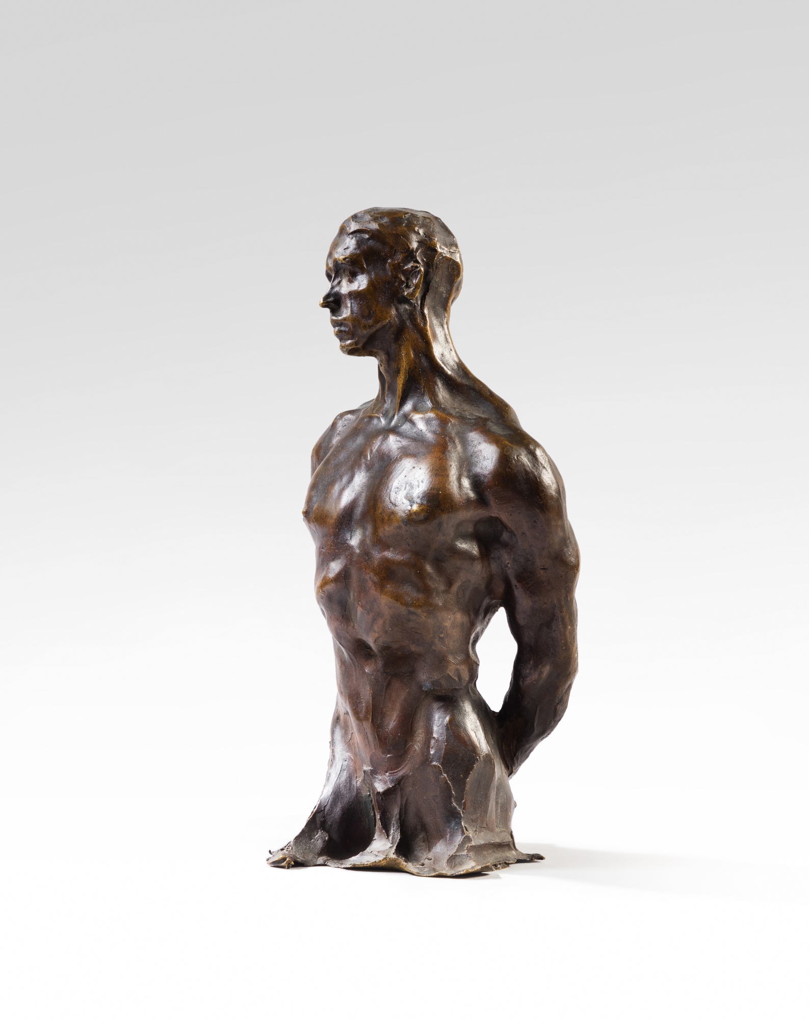 Buste de Samuel White Stockton, "A l’ami White"