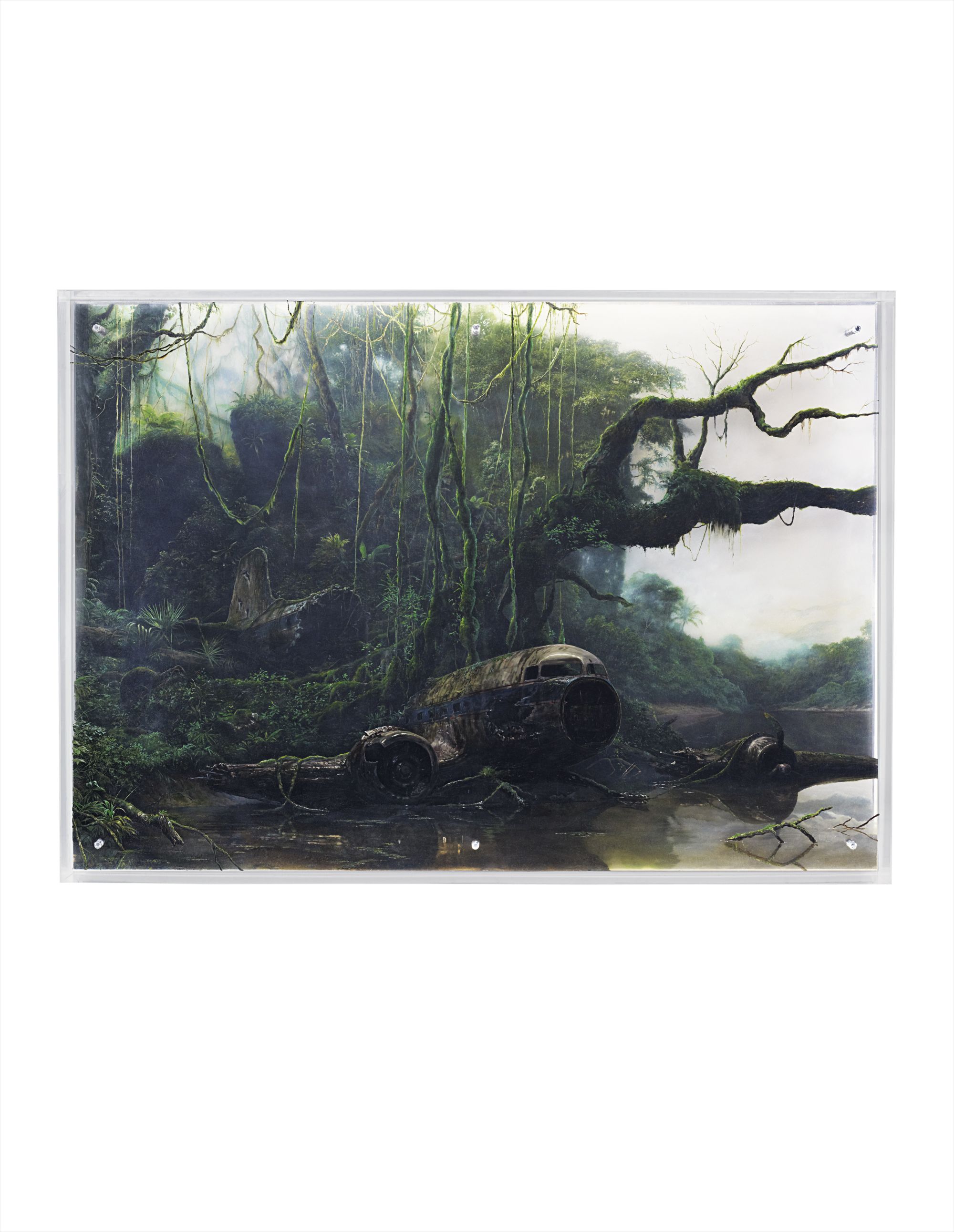 Jungle River Landscape with Plane Wreck
