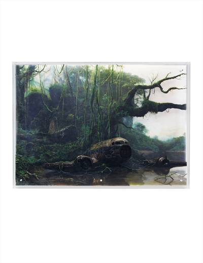 Jungle River Landscape with Plane Wreck