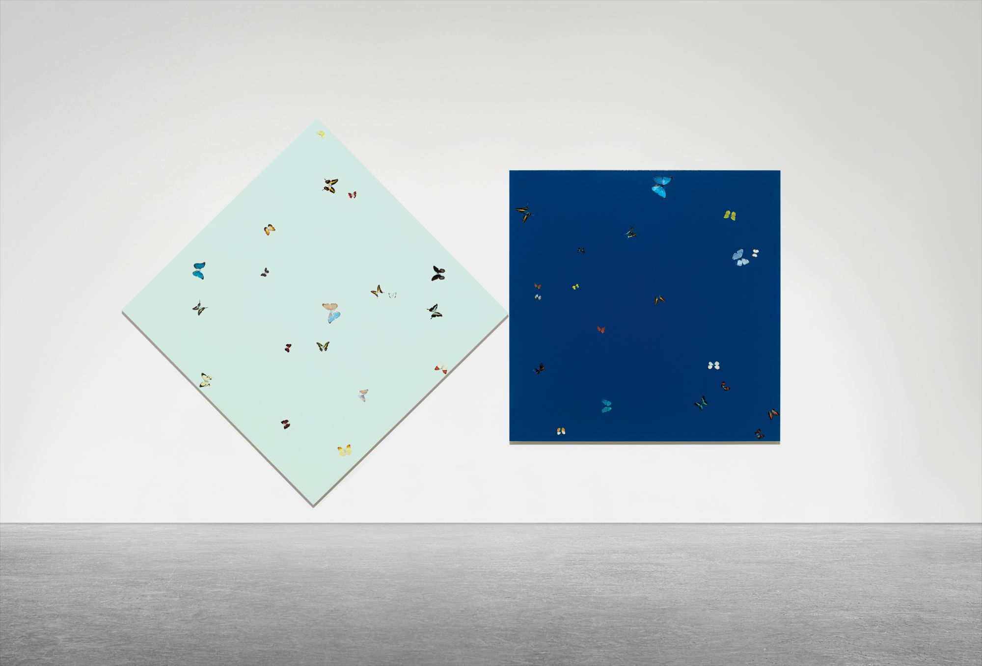 Damien Hirst — Night Follows Day (Diptych)