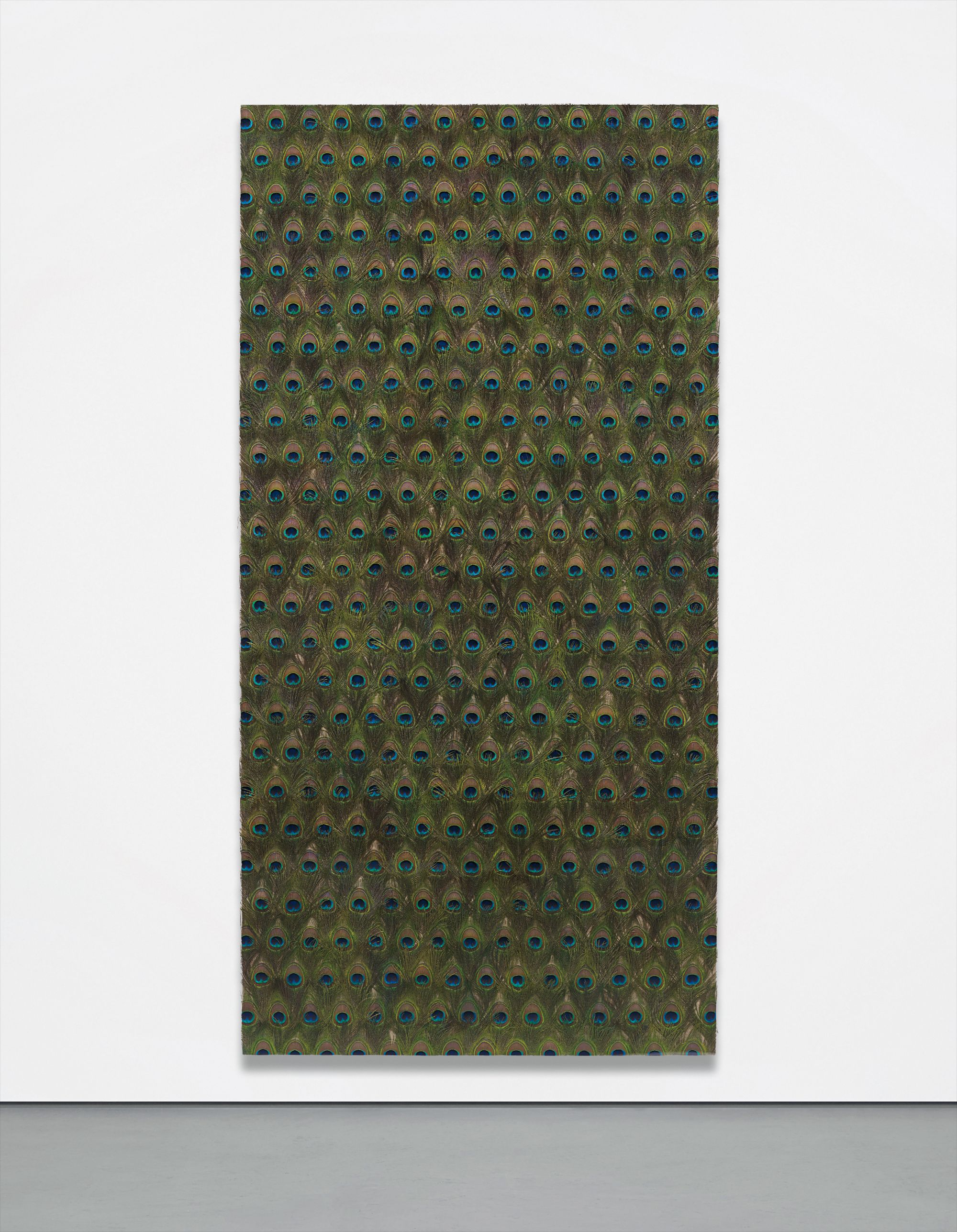 Carol Bove — peacock feathers on linen, laid on board in artist's Plexiglas frame