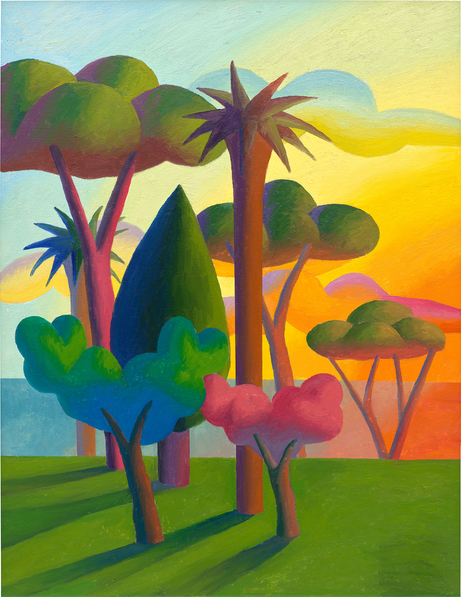 Salvo — Mediterraneo