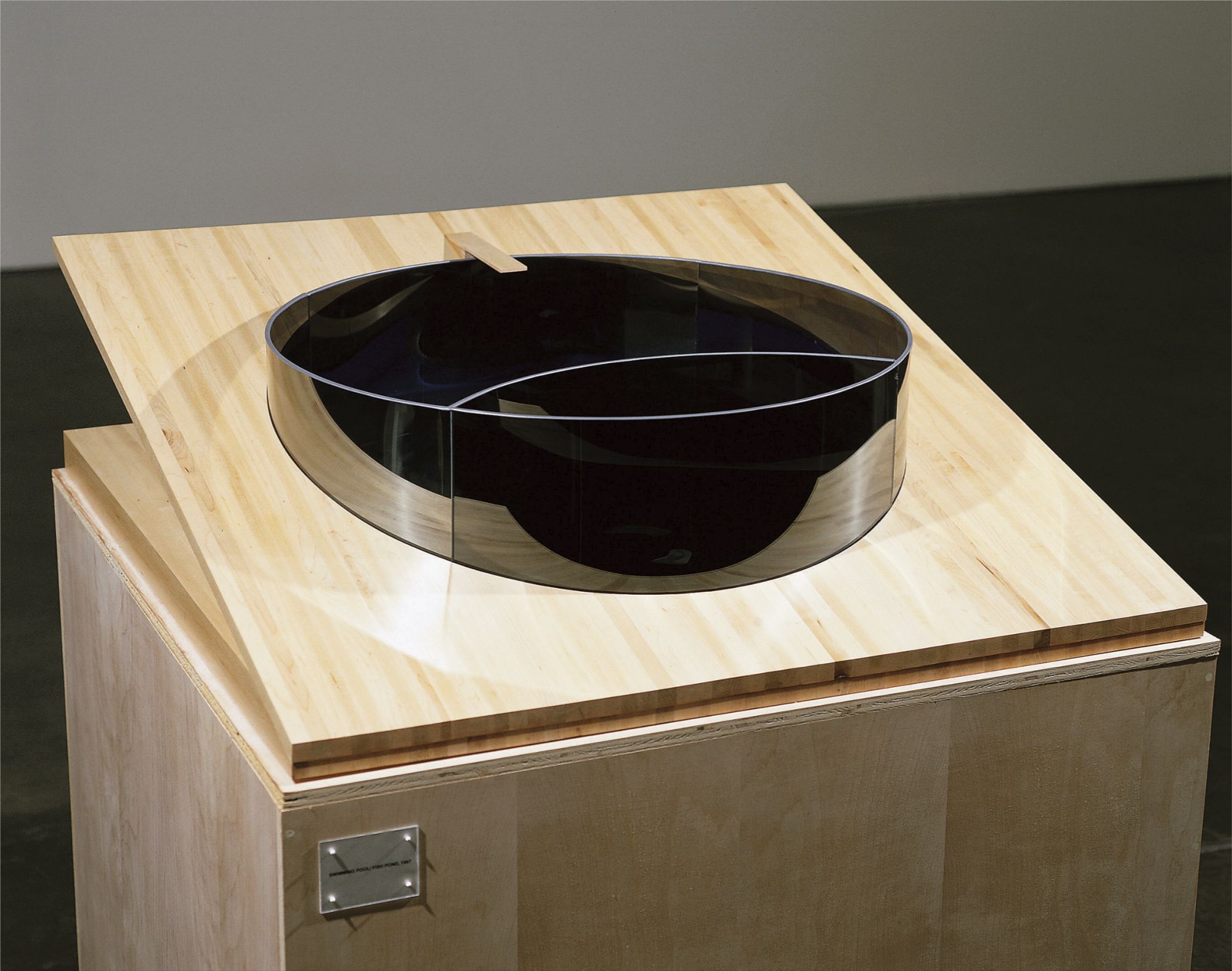 Swimming Pool/Fish Pond