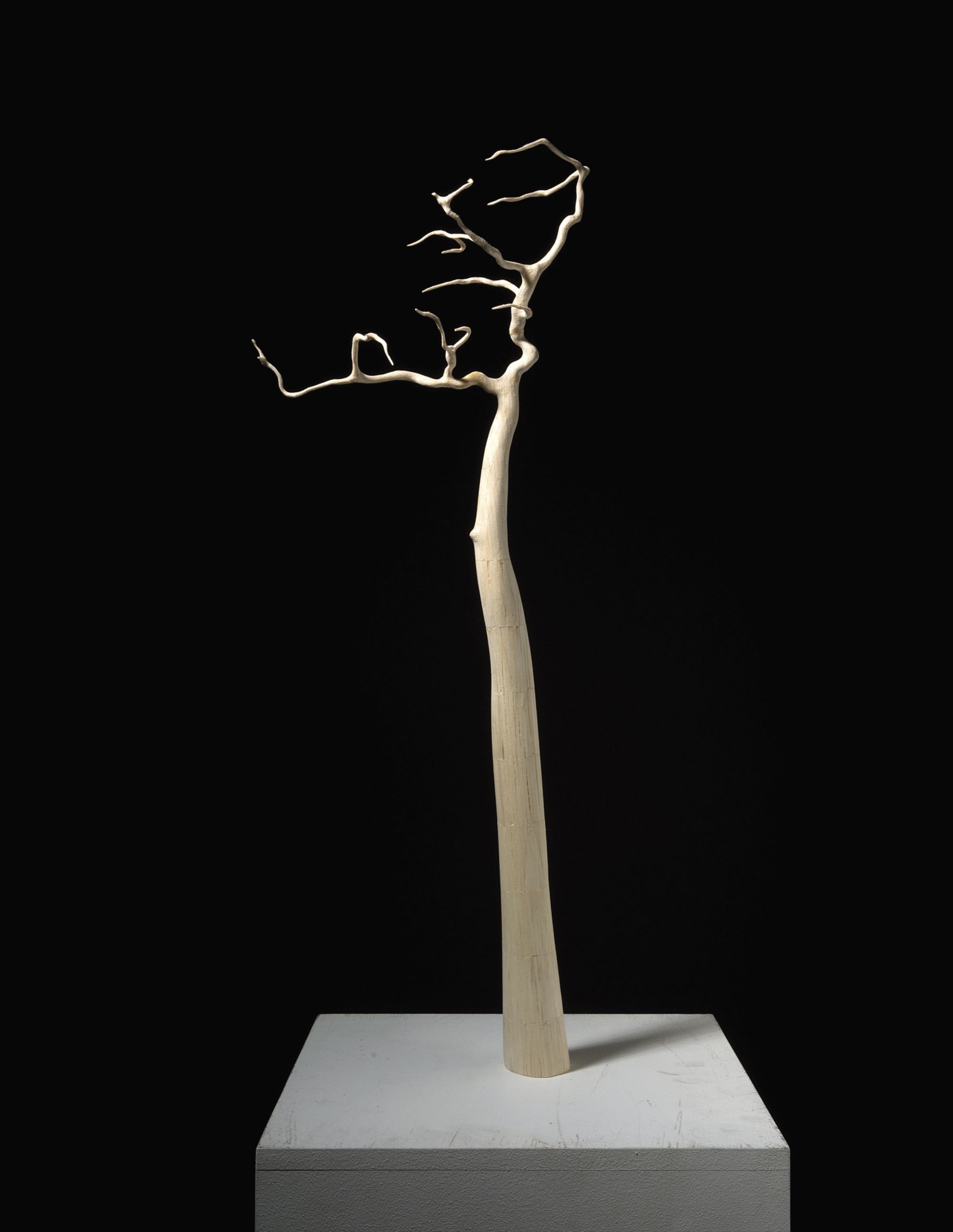 Matchstick Tree