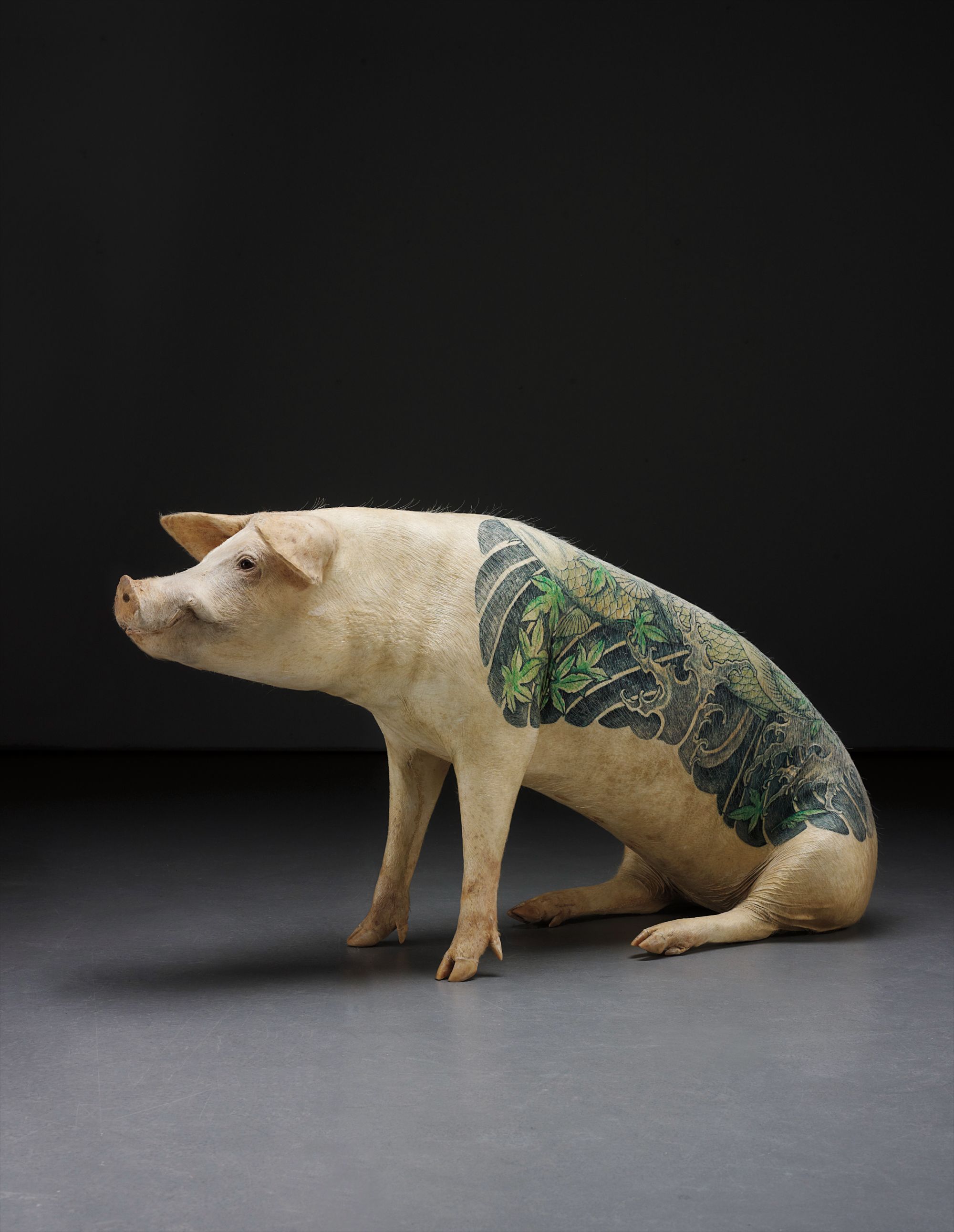 Wim Delvoye — stuffed and tattooed pig