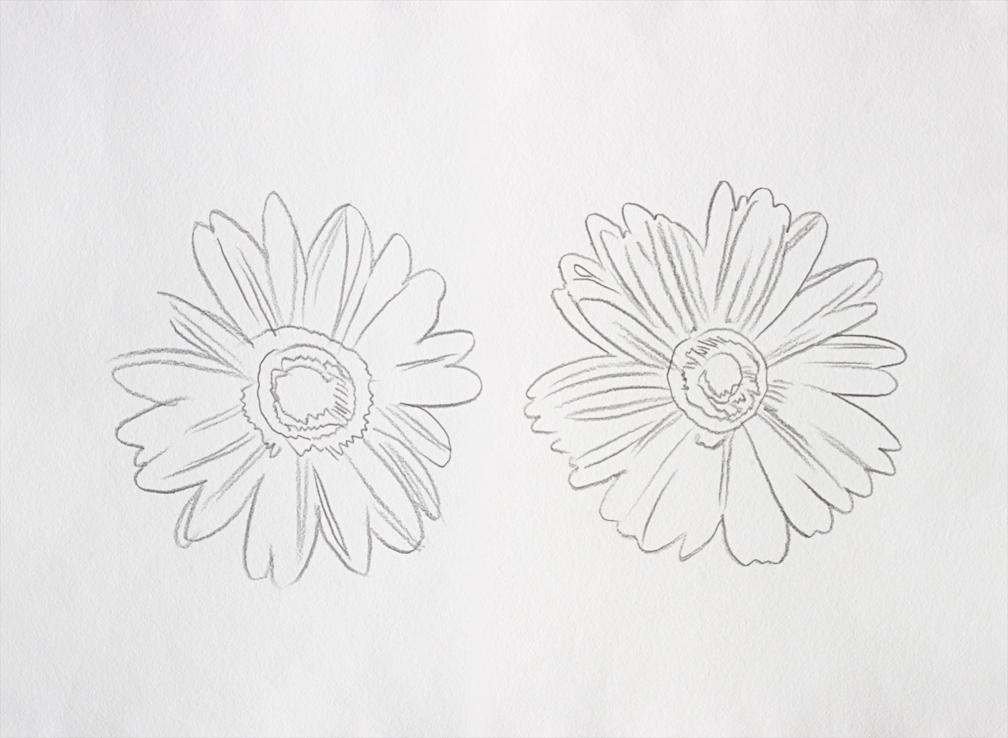 Andy Warhol — Double Daisies