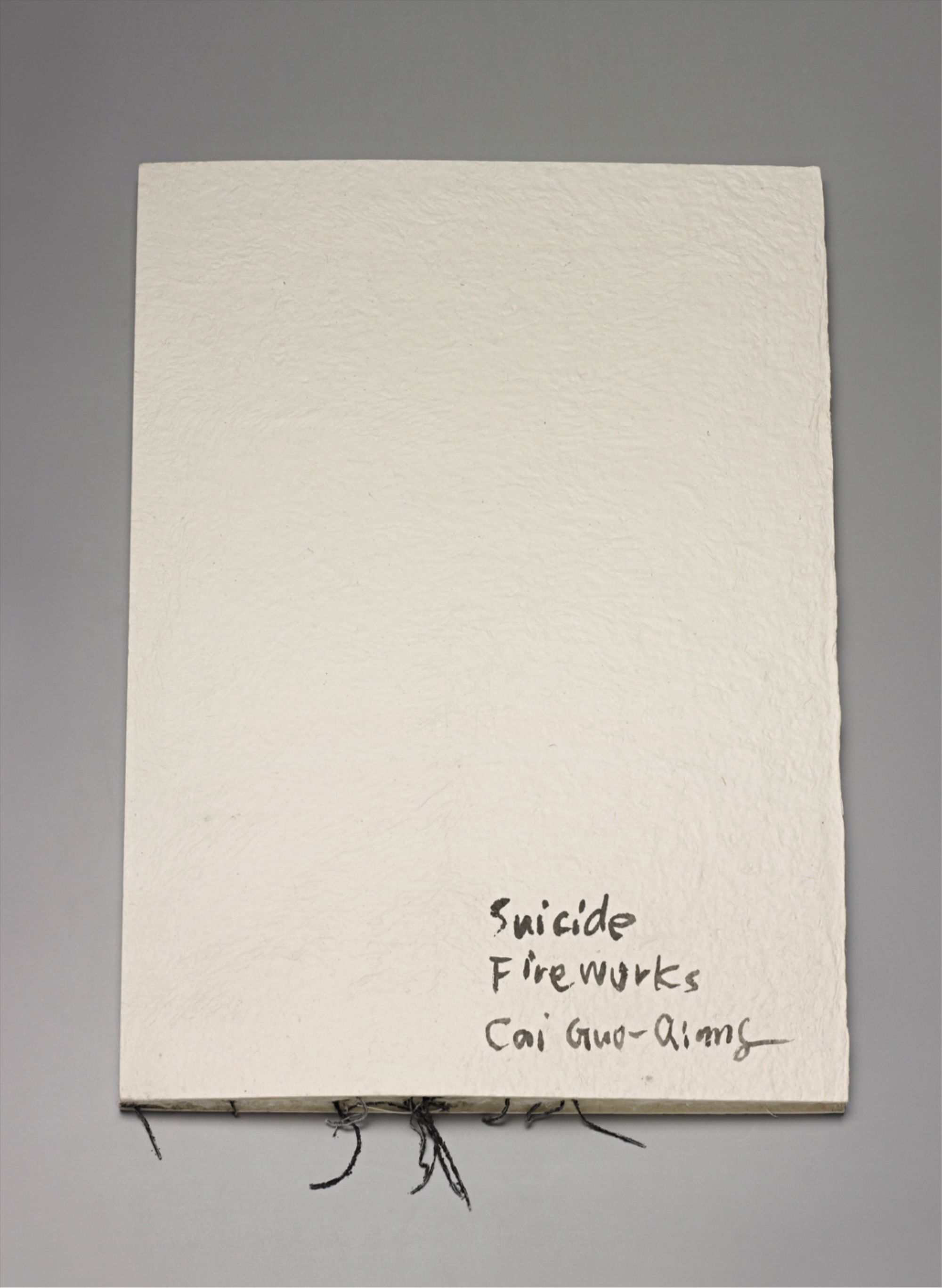 Danger Book: Suicide Fireworks