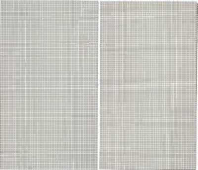White Lines (Diptych)