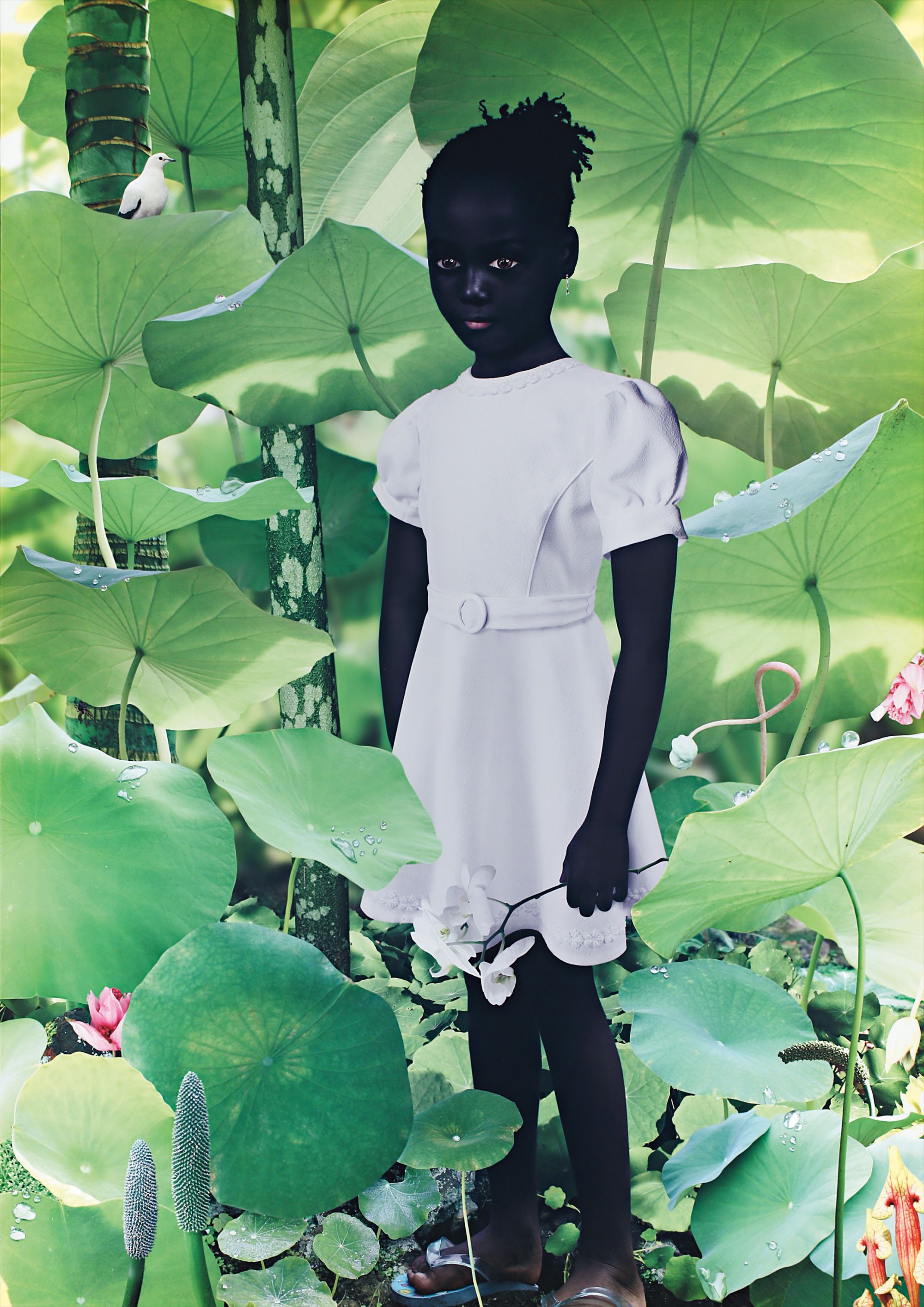 Ruud van Empel — World #12