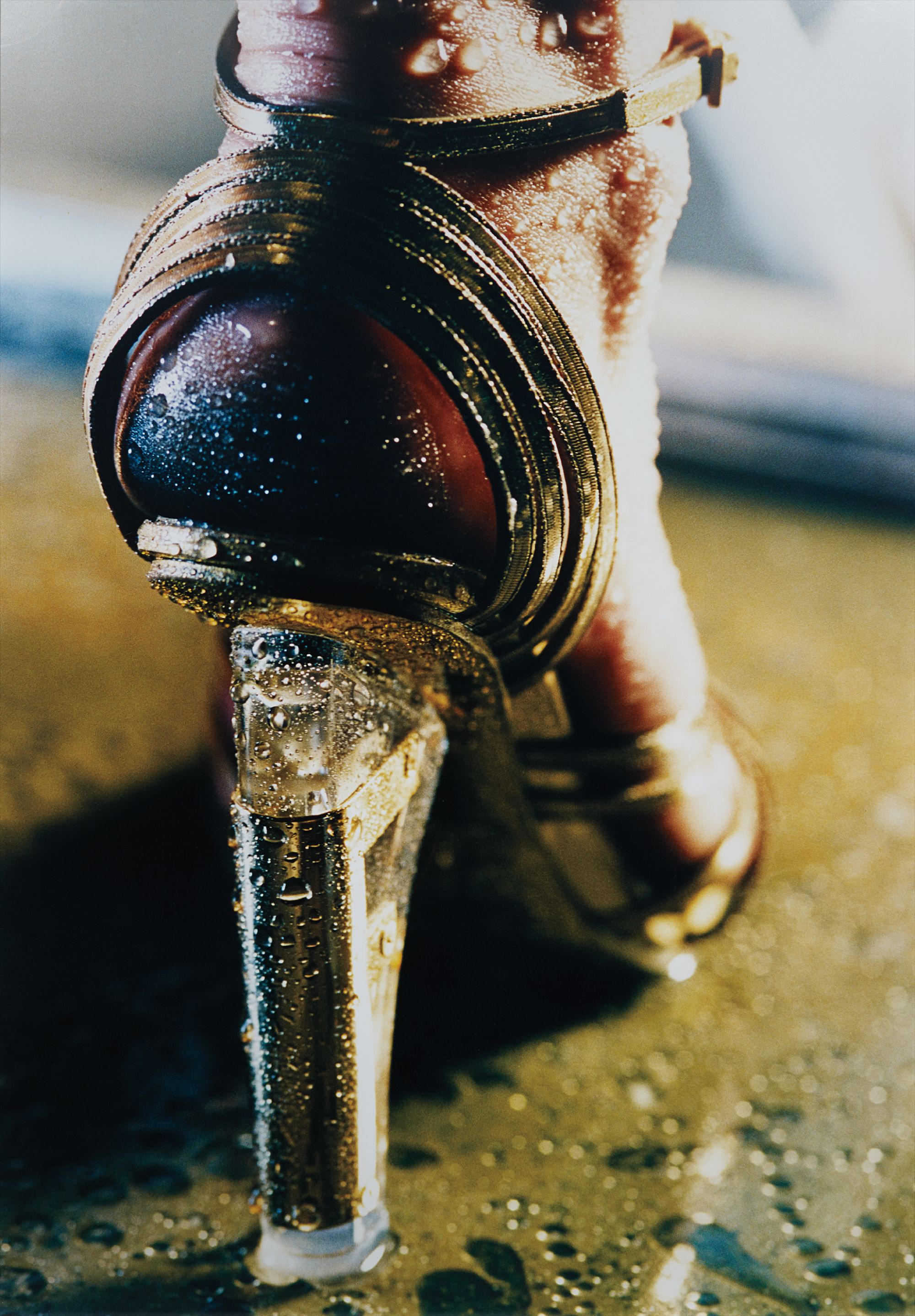 Marilyn Minter — Goldi