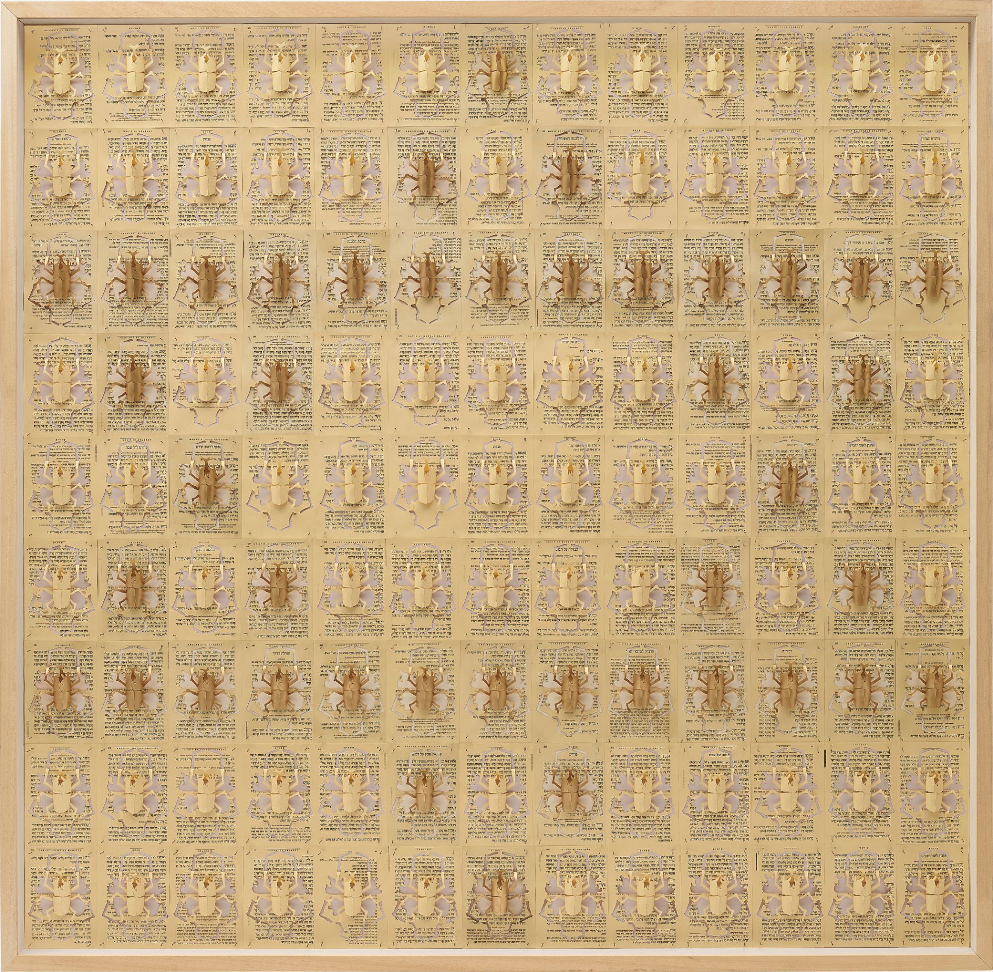 Pietro Ruffo — Beetle Flag