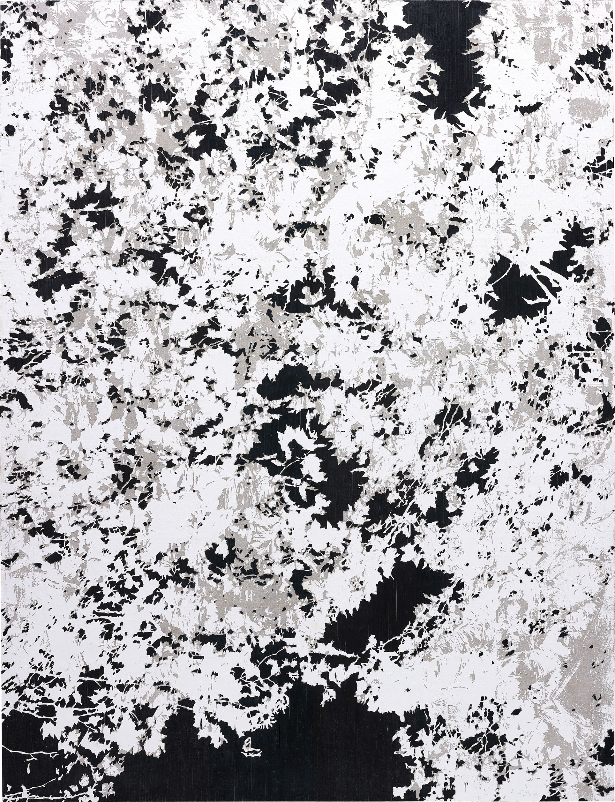 Gregor Hildebrandt — Mondschein beschienene Blätter - A Forest (Cure)