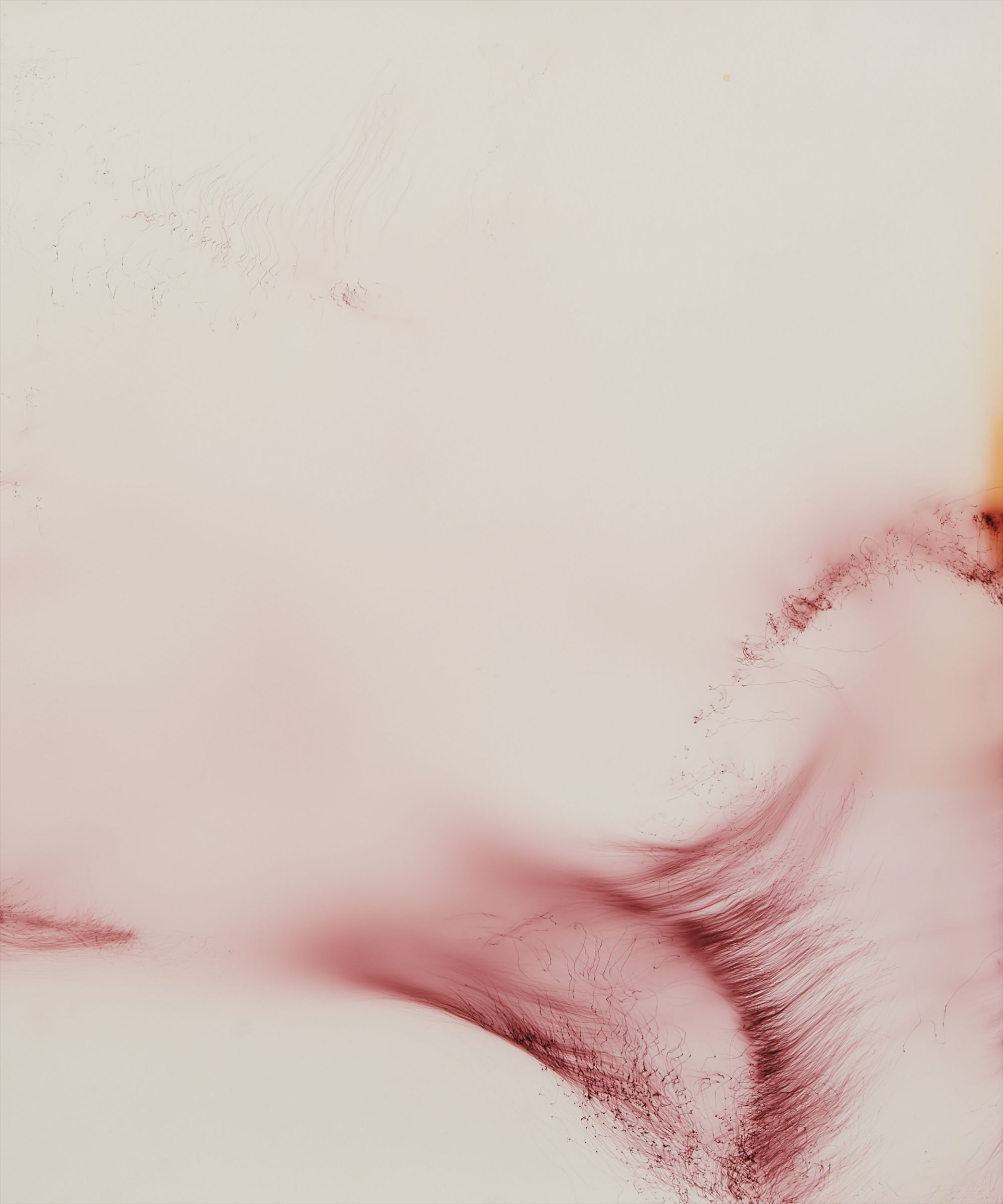 Wolfgang Tillmans — Freischwimmer 170