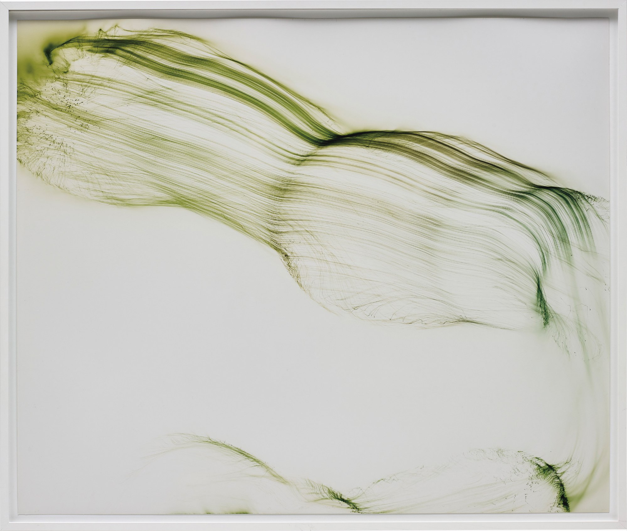 Wolfgang Tillmans — Freischwimmer 63