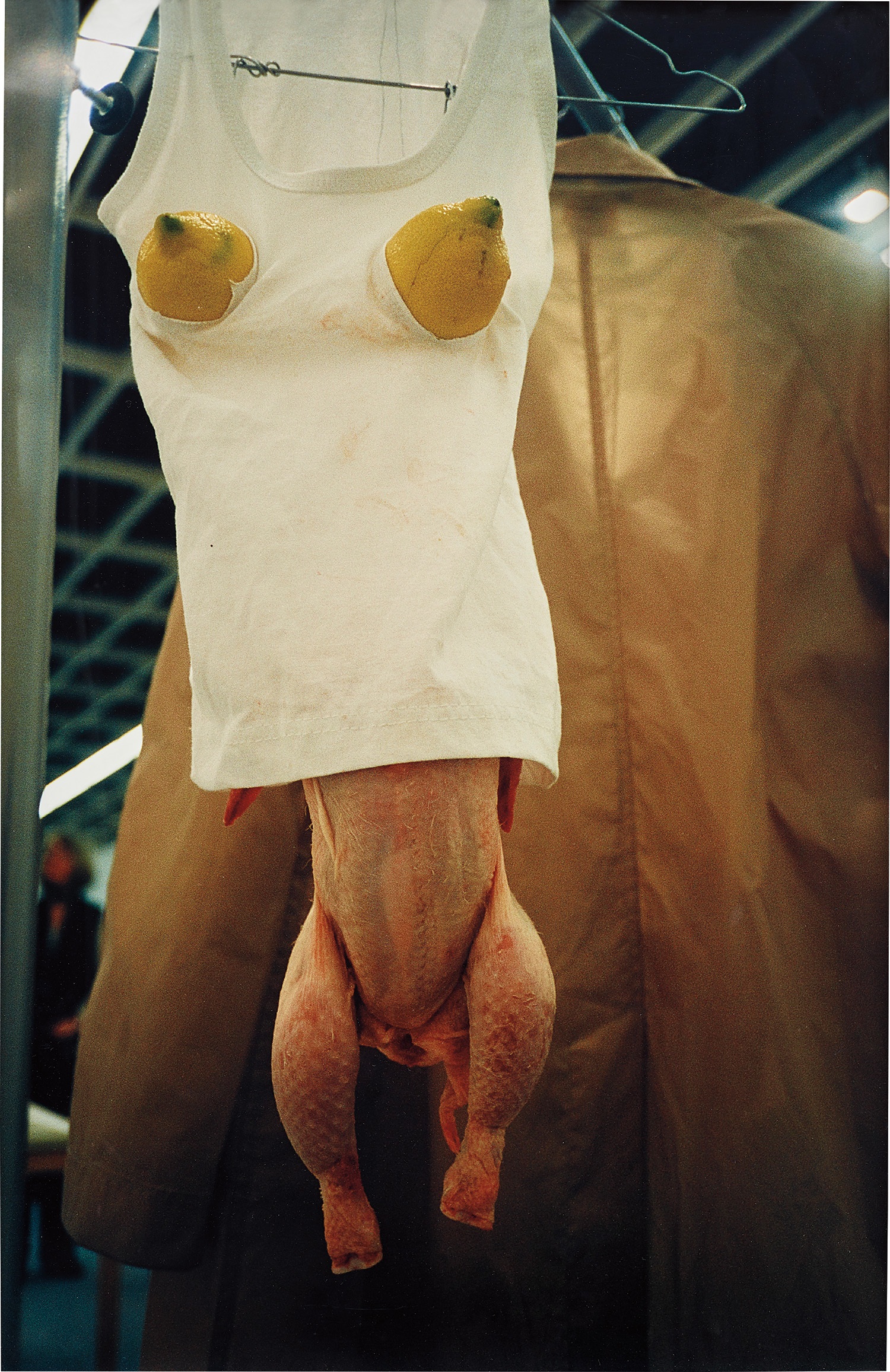 Sarah Lucas — Sex Baby