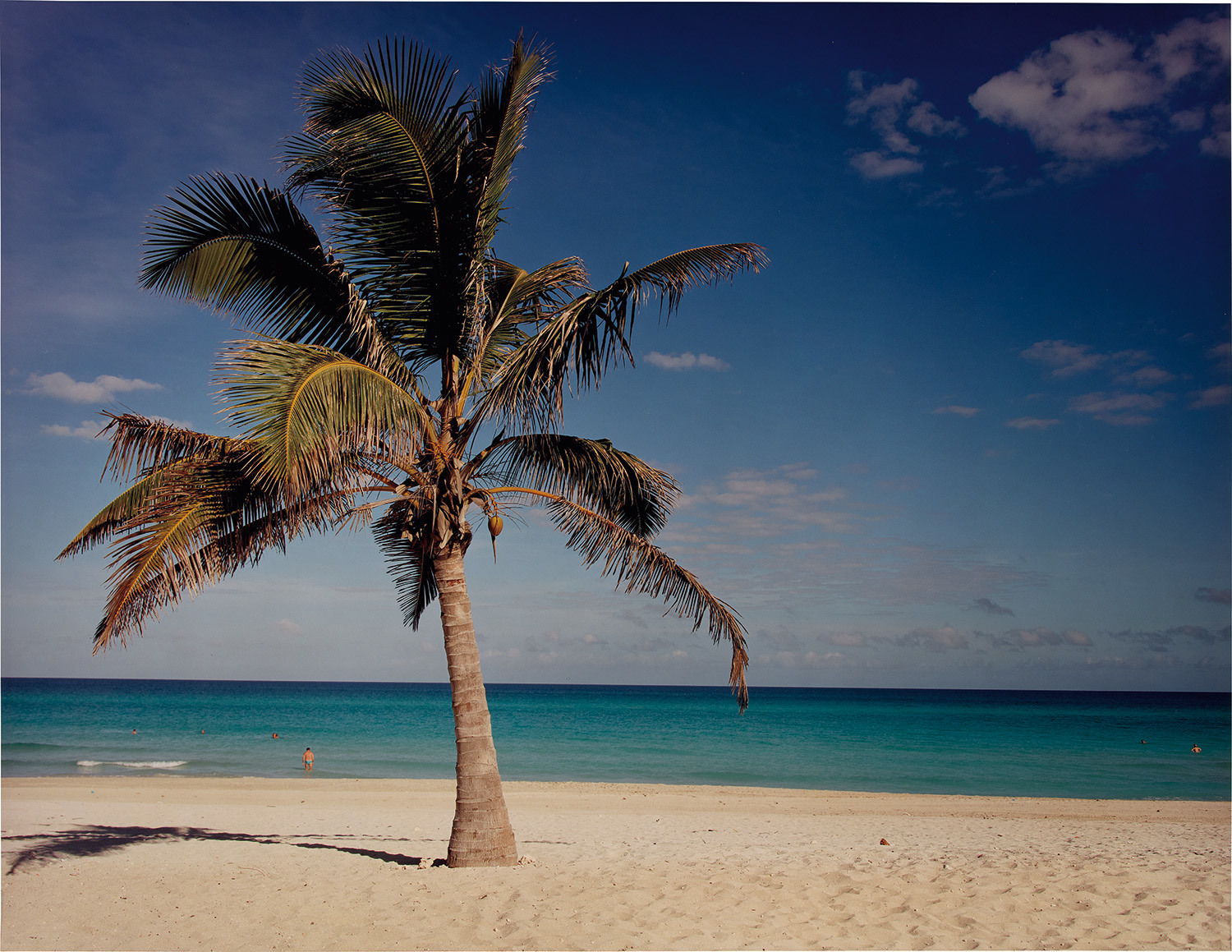 Christopher Williams — Punta Hicacos, Varadero, Cuba, February 14, 2000