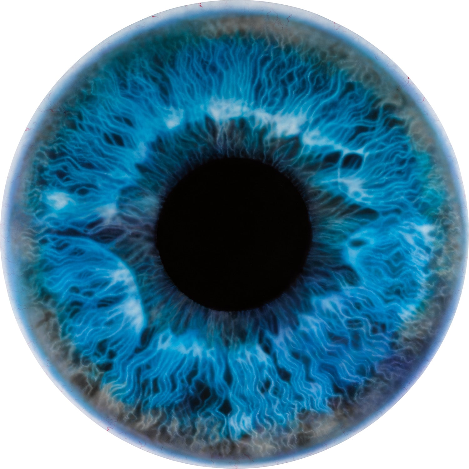 Marc Quinn — We Share the same Chemistry as the Stars AZ280