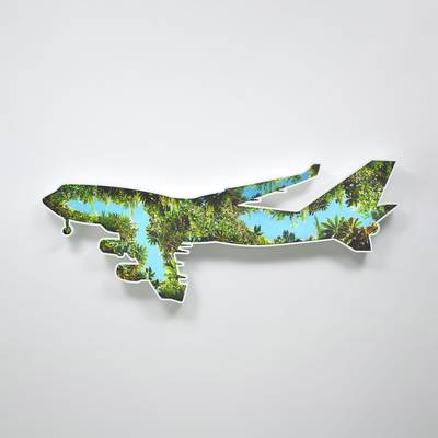 Jungle Plane