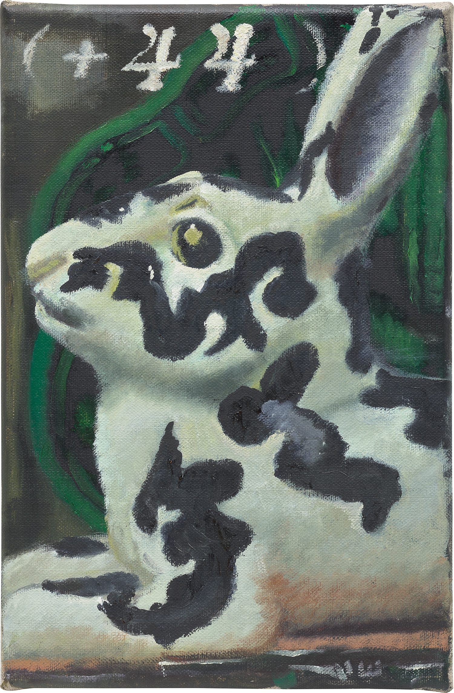 Issy Wood — Unusual rabbit with country code