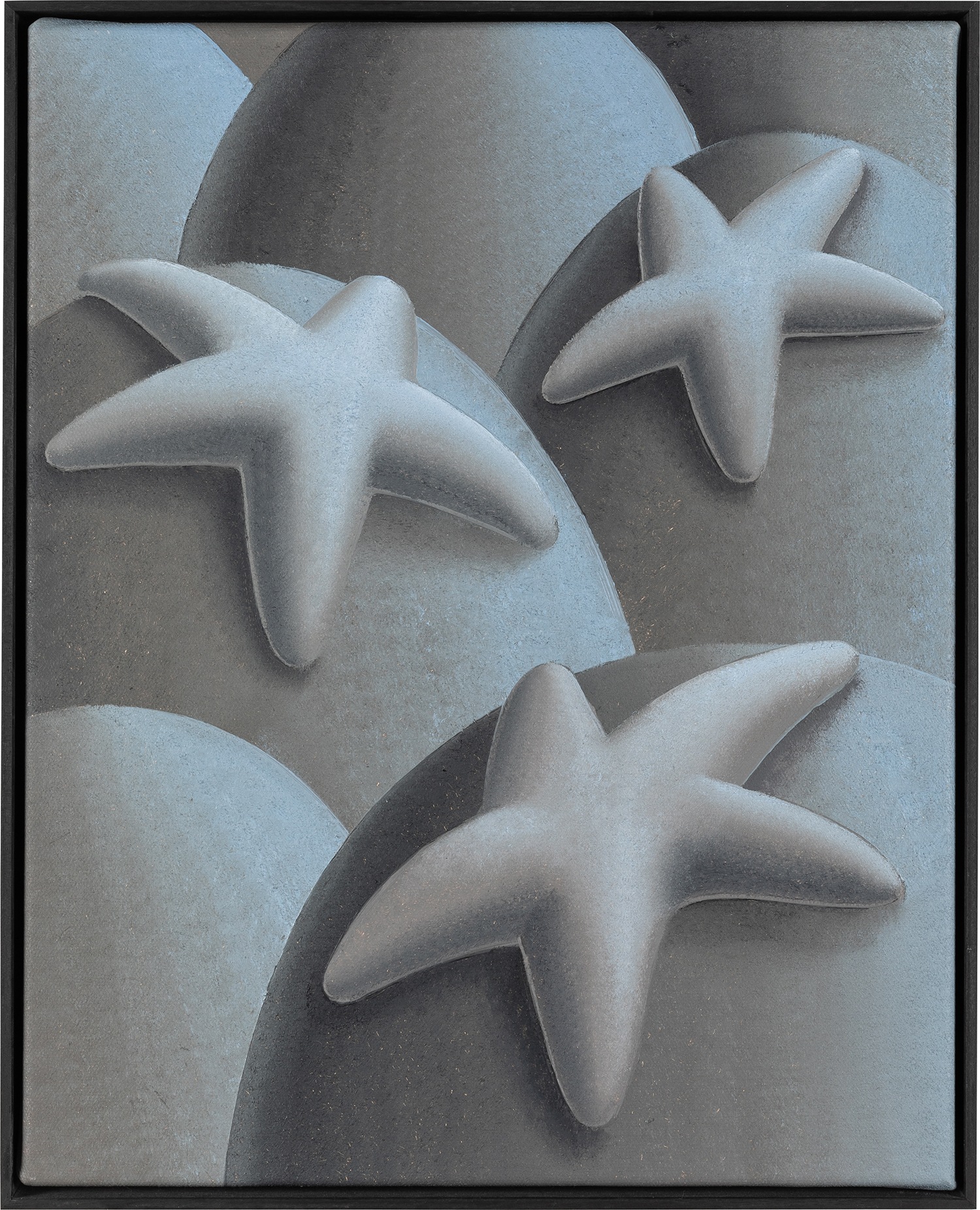 Three Resting Seastars